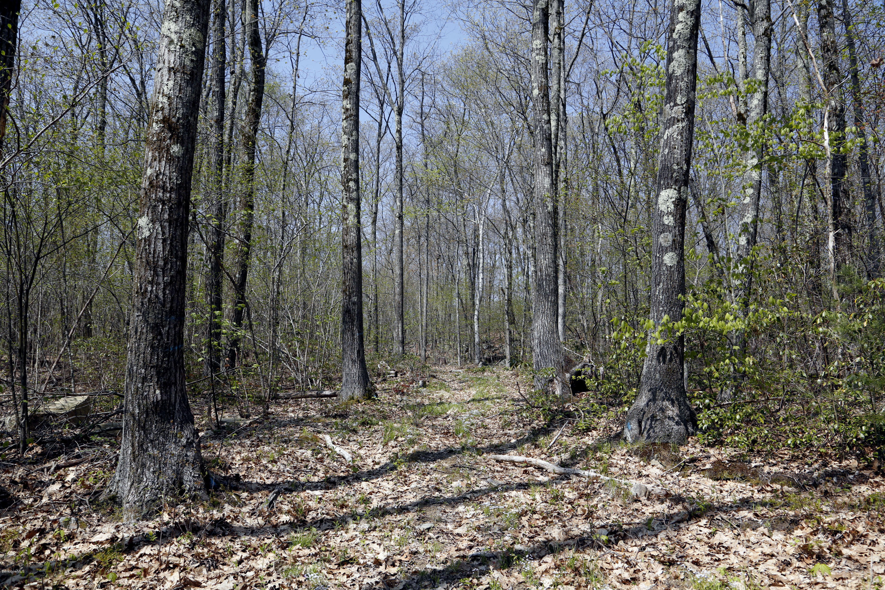 0 Norfolk Road Southfield, MA 01259 - Photo 2 of 8 Q_Land_Plot_2_07