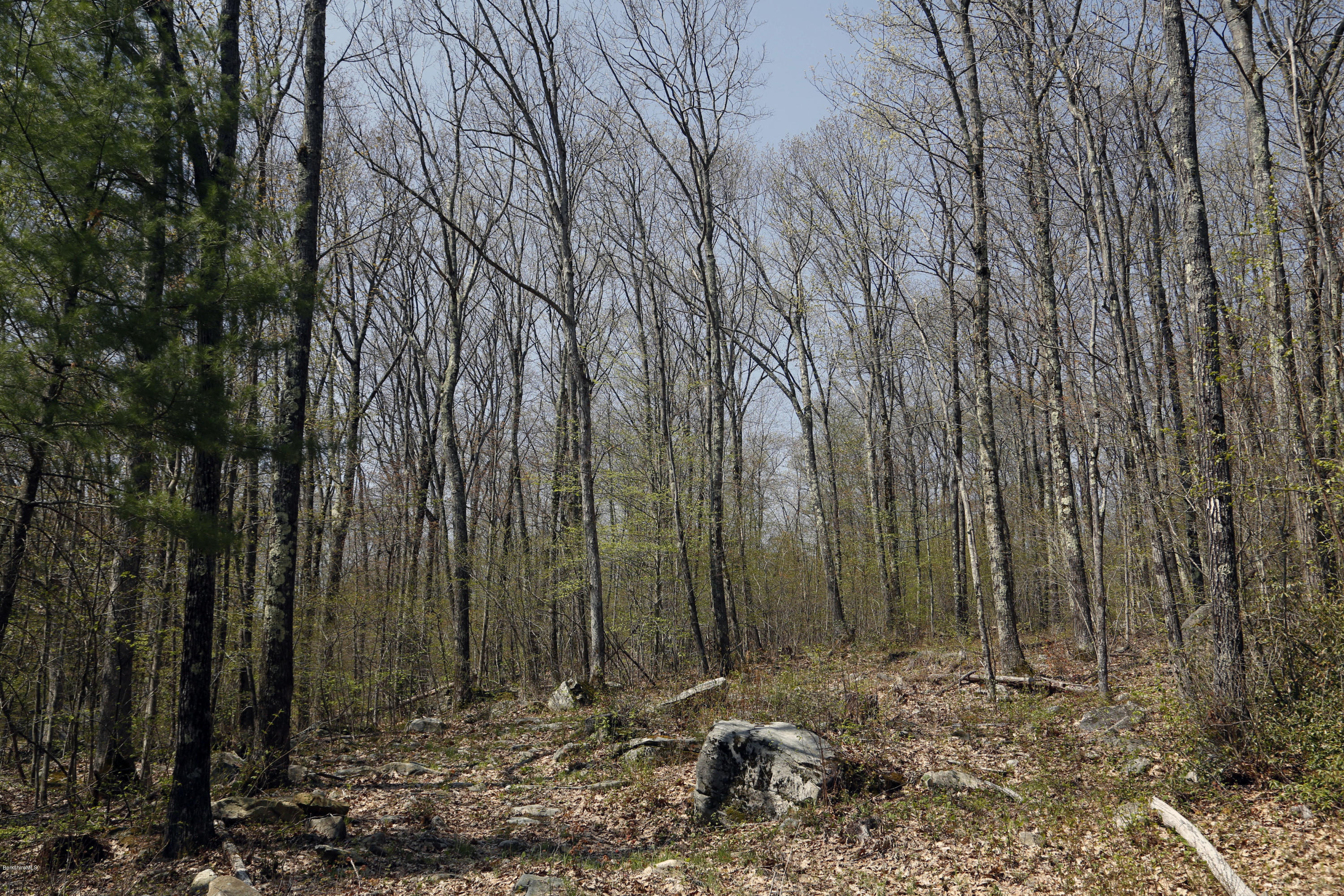 0 Norfolk Road Southfield, MA 01259 - Photo 5 of 8 Q_Land_Plot_2_01