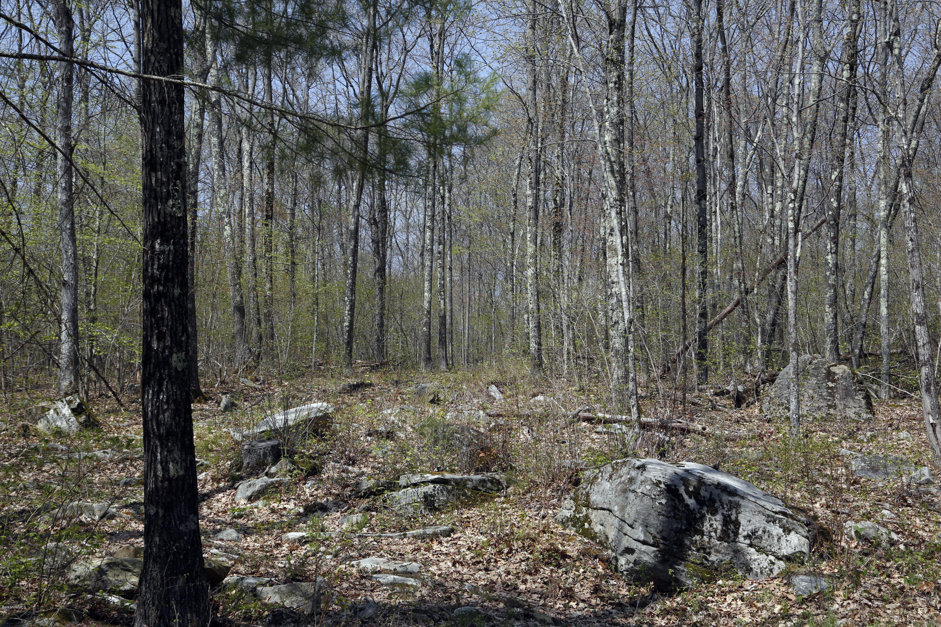 0 Norfolk Road Southfield, MA 01259 - Photo 6 of 8 Q_Land_Plot_2_03