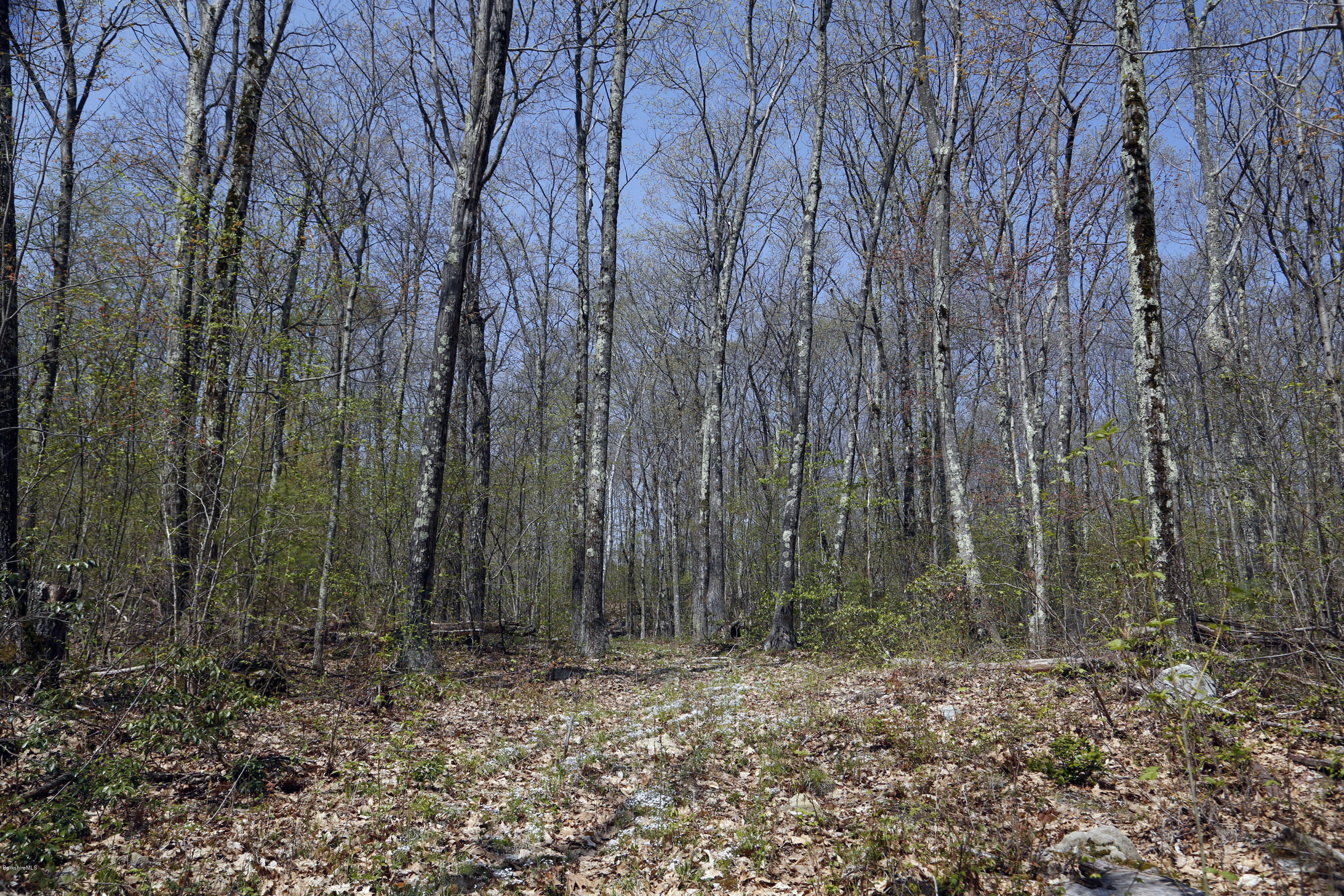 0 Norfolk Road Southfield, MA 01259 - Photo 7 of 8 Q_Land_Plot_2_05