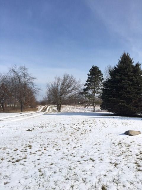 7975 Antcliff Road Howell, MI 48855 - Photo 21 of 21 View from the front door