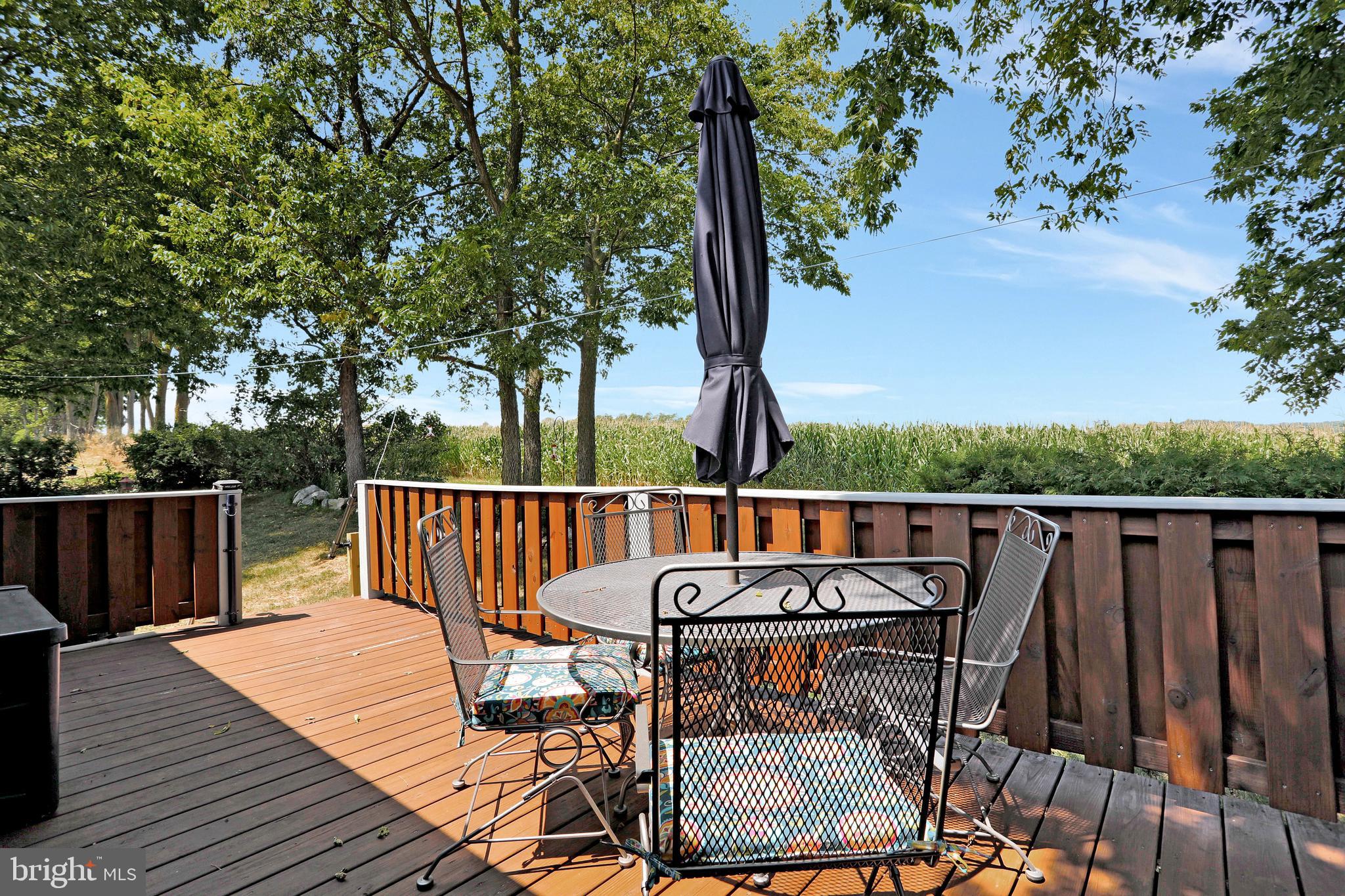 20609 Rodeo Drive Boonsboro, MD 21713 - Photo 38 of 68 Gallery Image 38