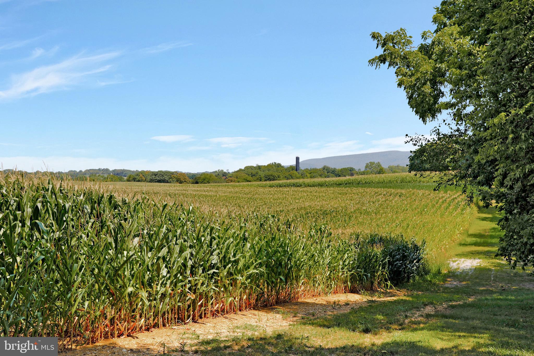 20609 Rodeo Drive Boonsboro, MD 21713 - Photo 47 of 68 Gallery Image 47