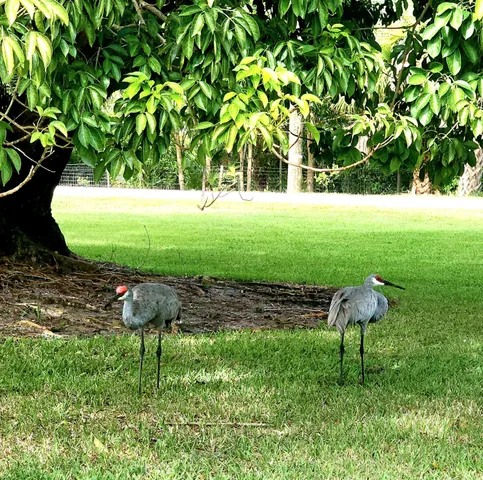 $159,900 | 18081 Southeast Country Club Drive, Unit 13125, Jupiter, FL 33469