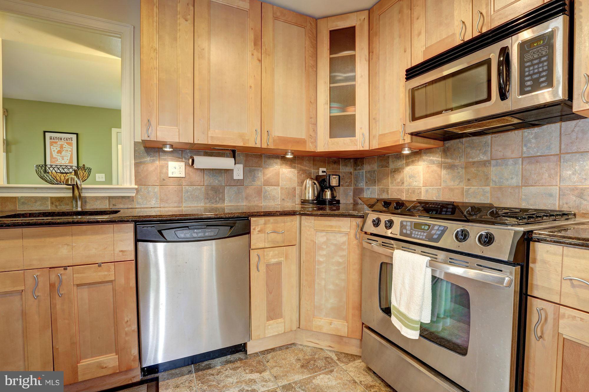 9405 Riley Place Silver Spring, MD 20910 - Photo 7 of 29 Kitchen