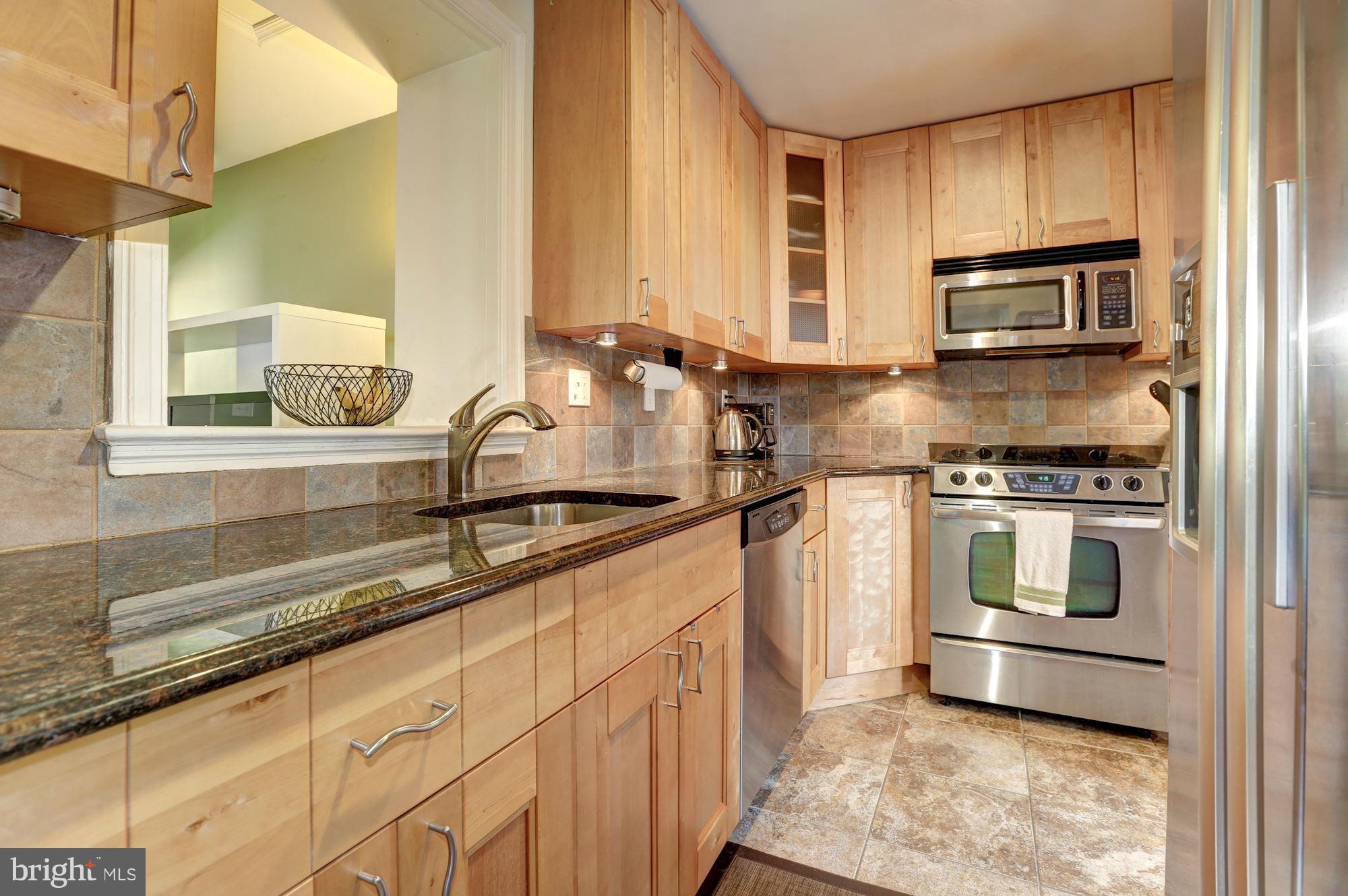 9405 Riley Place Silver Spring, MD 20910 - Photo 9 of 29 Kitchen