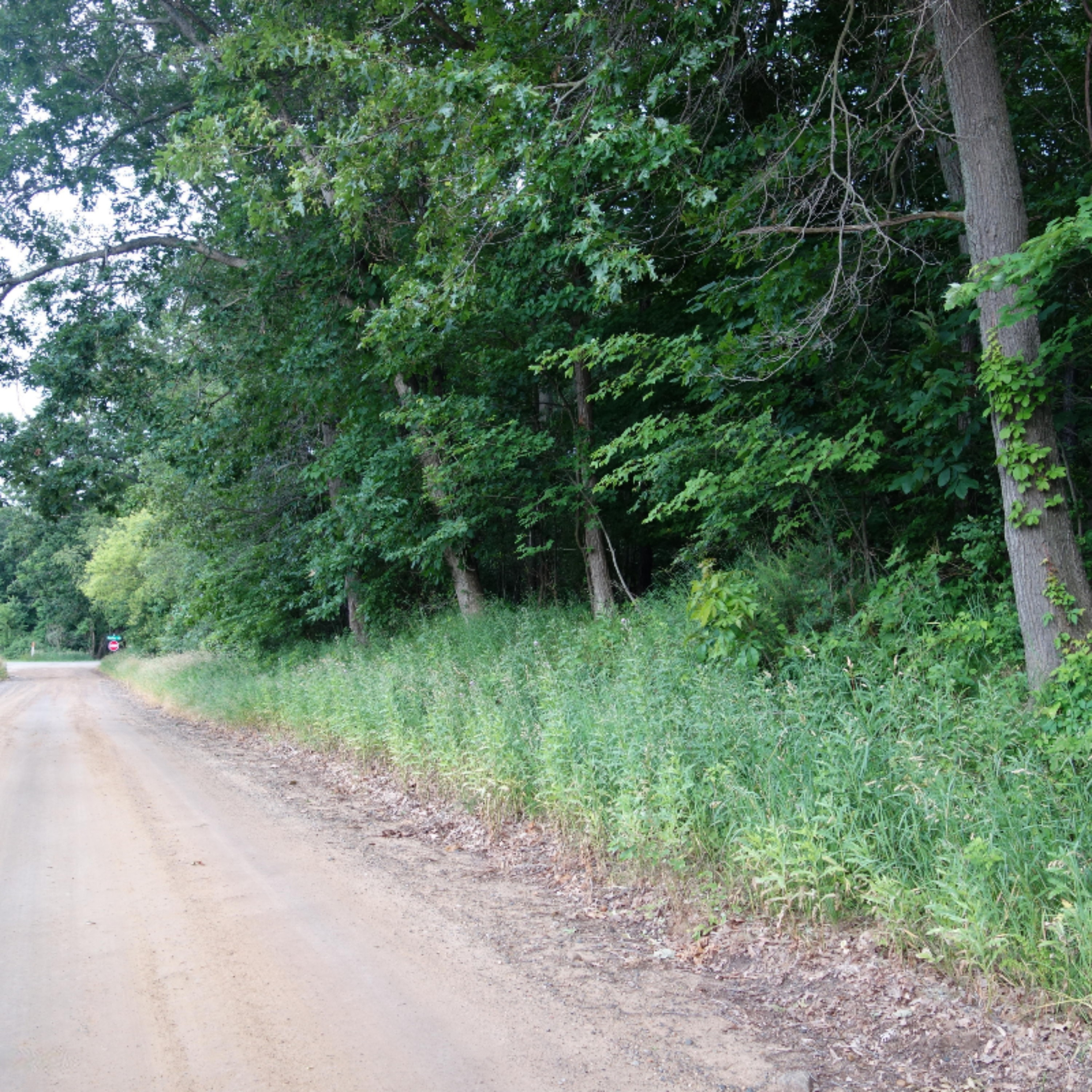 0 Weir Road Hanover, MI 49250 - Photo 15 of 35 DSC03037