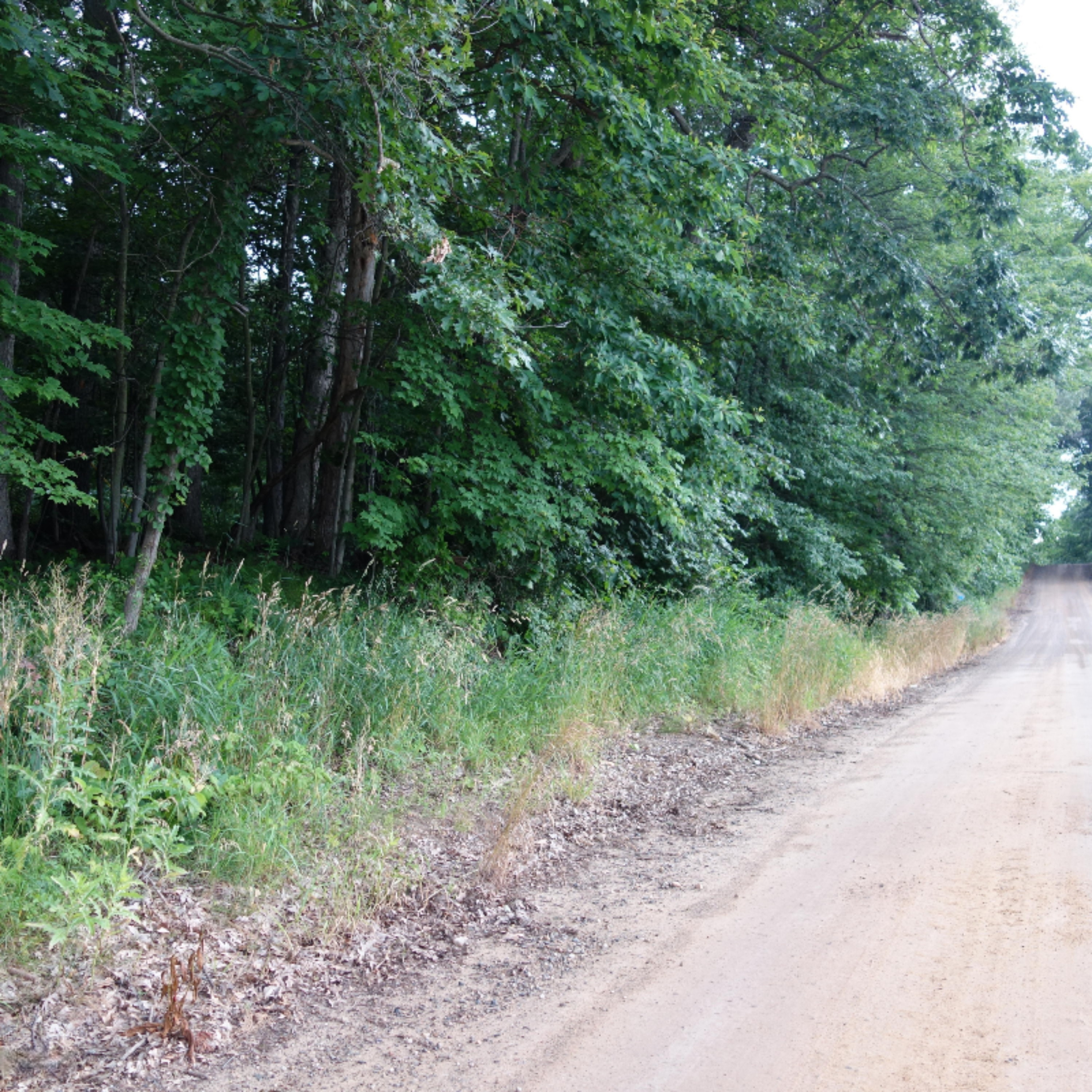 0 Weir Road Hanover, MI 49250 - Photo 2 of 35 DSC03038