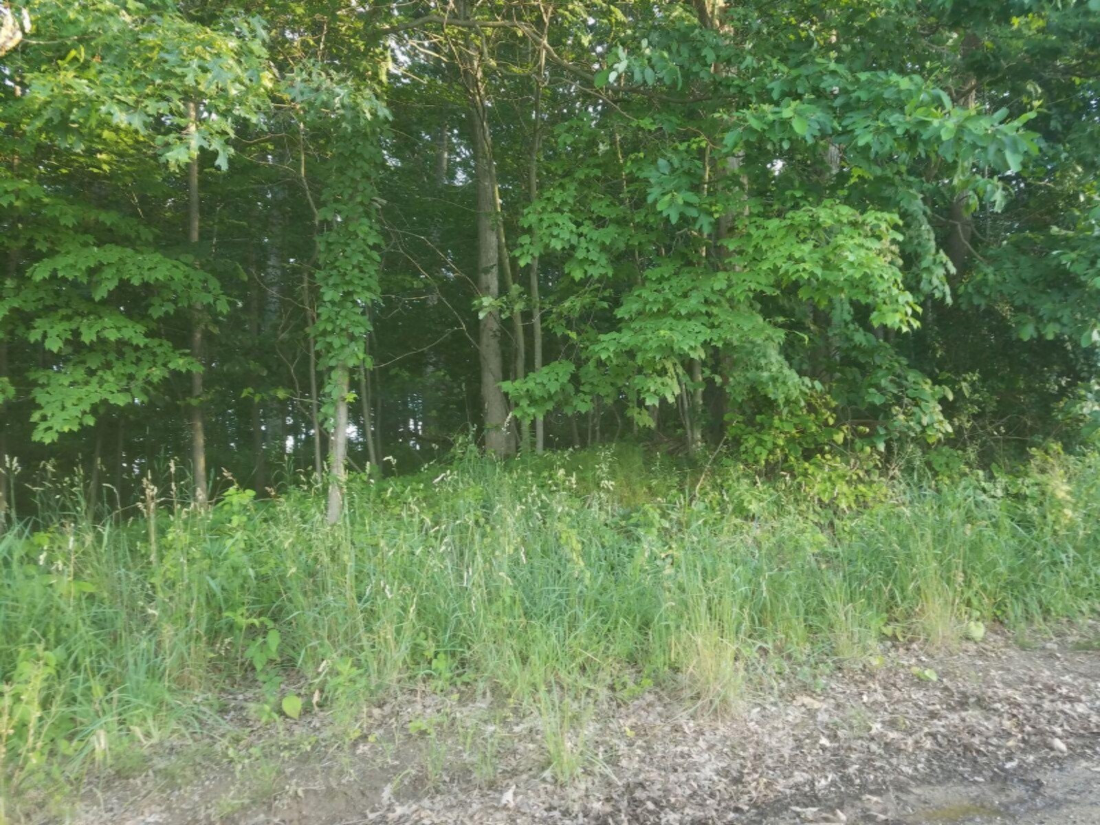 0 Weir Road Hanover, MI 49250 - Photo 23 of 35 1aaaaa