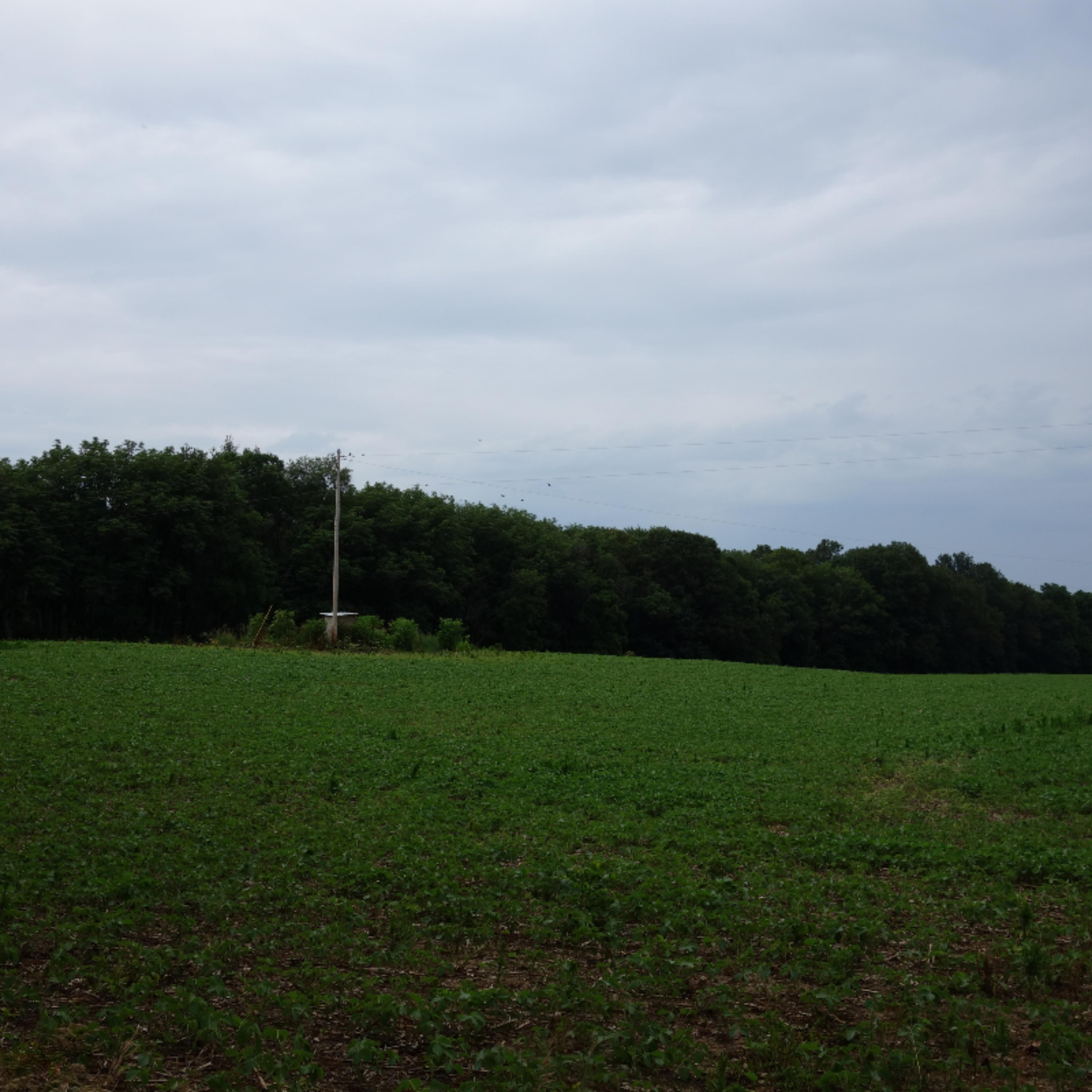 0 Weir Road Hanover, MI 49250 - Photo 29 of 35 DSC03055