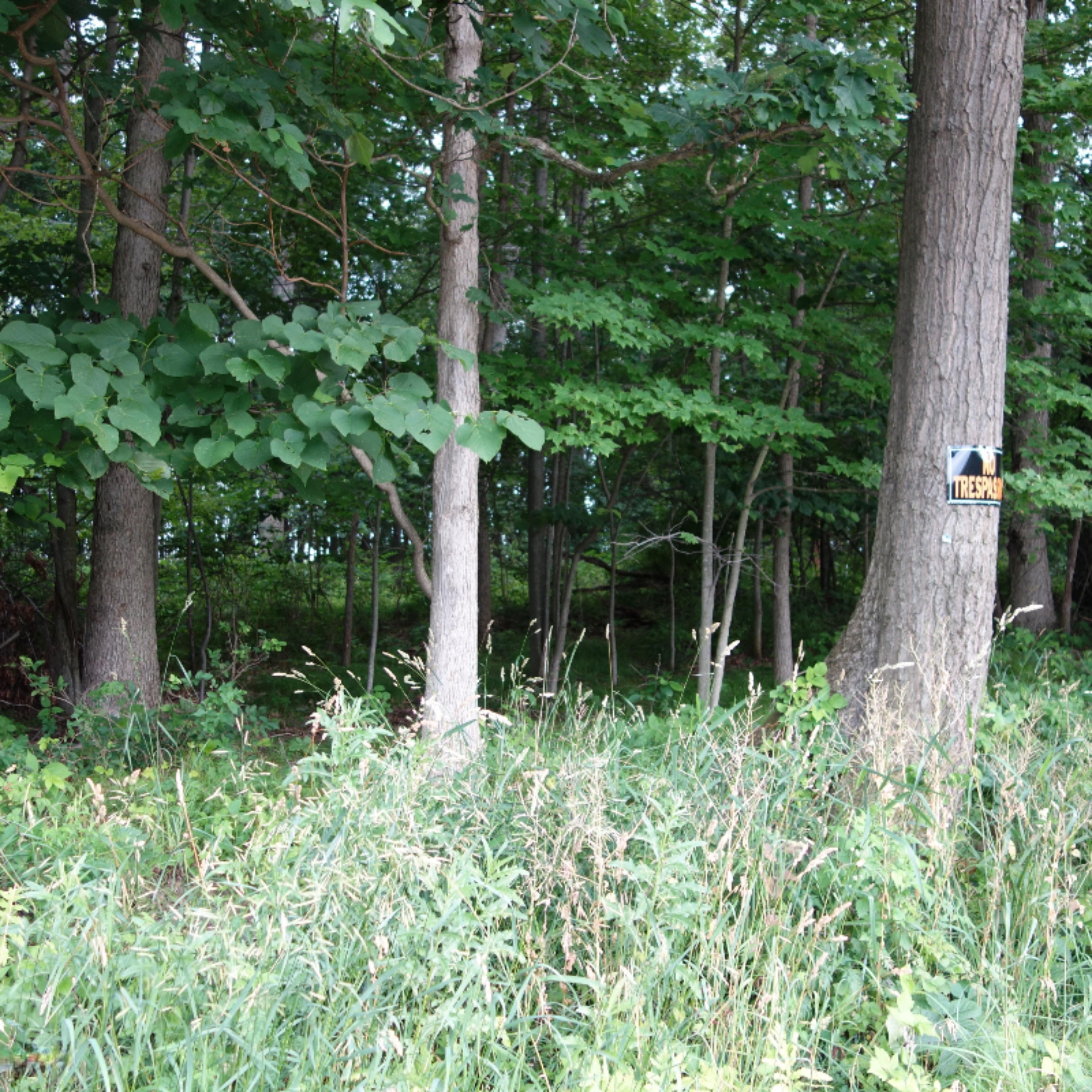 0 Weir Road Hanover, MI 49250 - Photo 31 of 35 DSC03043