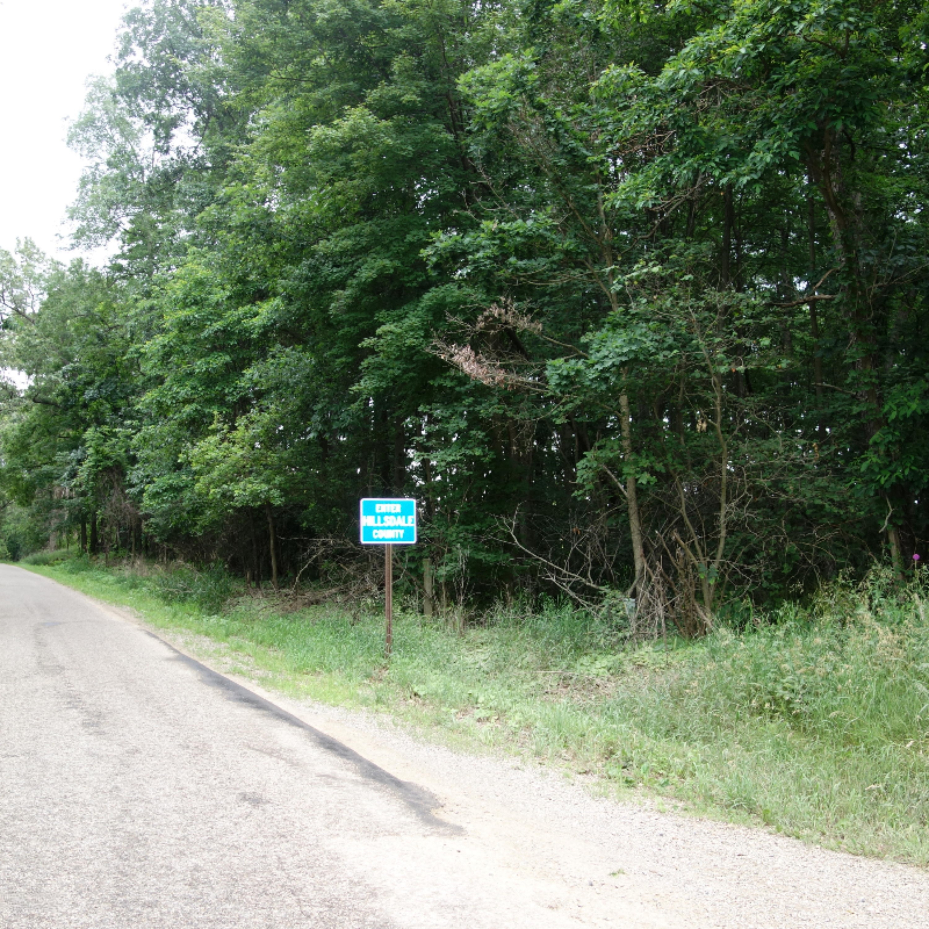 0 Weir Road Hanover, MI 49250 - Photo 9 of 35 DSC03029