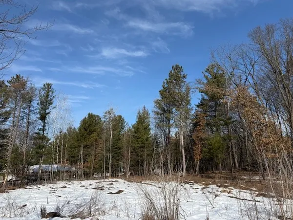 $30,000 | 0 Bashaw Trail, Shell Lake, WI 54871