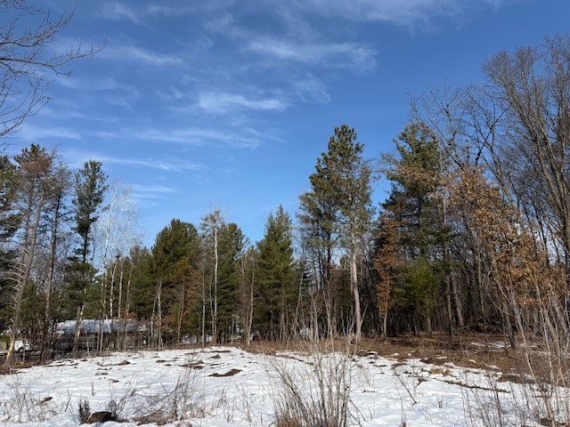 0 Bashaw Trail Shell Lake, WI 54871 - Photo 1 of 9