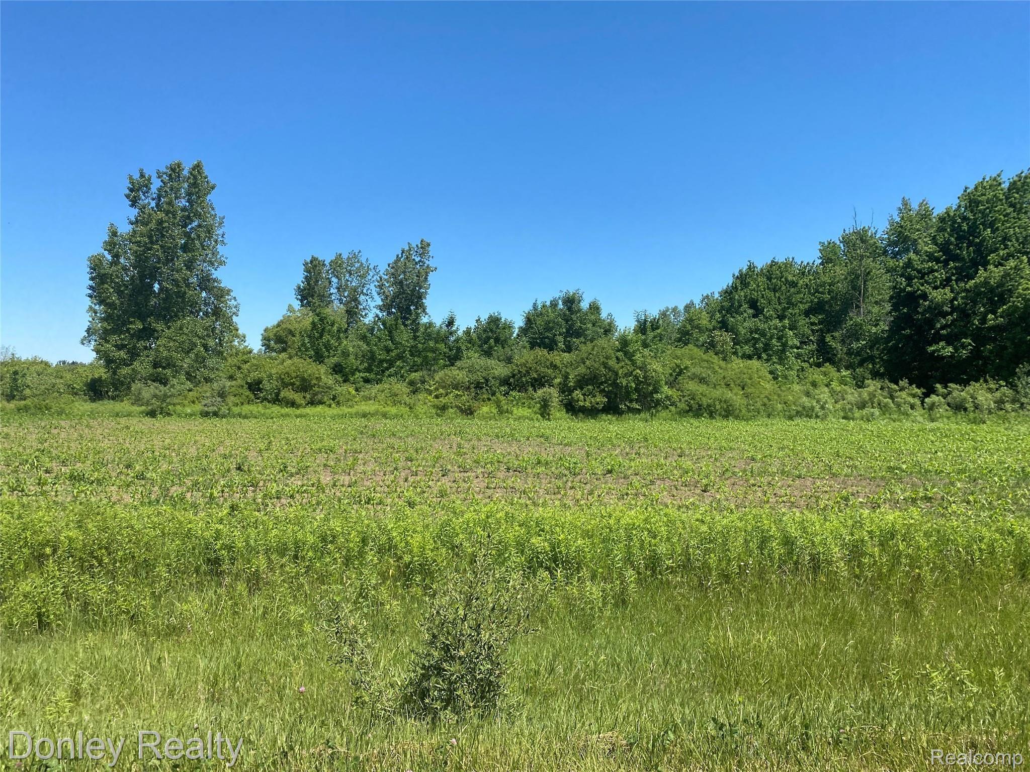 Parcel I Willis Road Marlette, MI 48453 - Photo 1 of 1 Parcel I.JPG