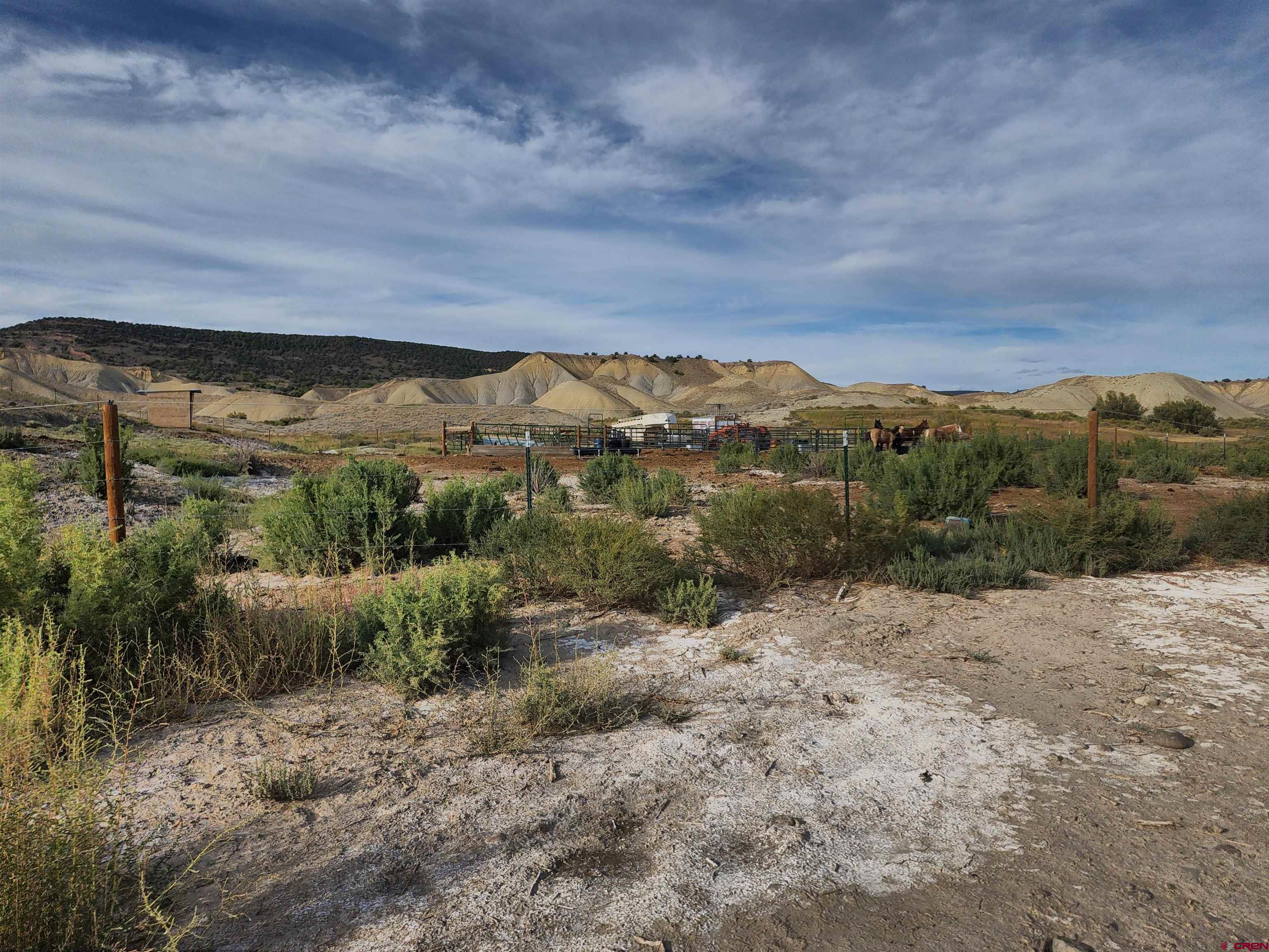 28454 Lampshire Road Hotchkiss, CO 81419 - Photo 19 of 45