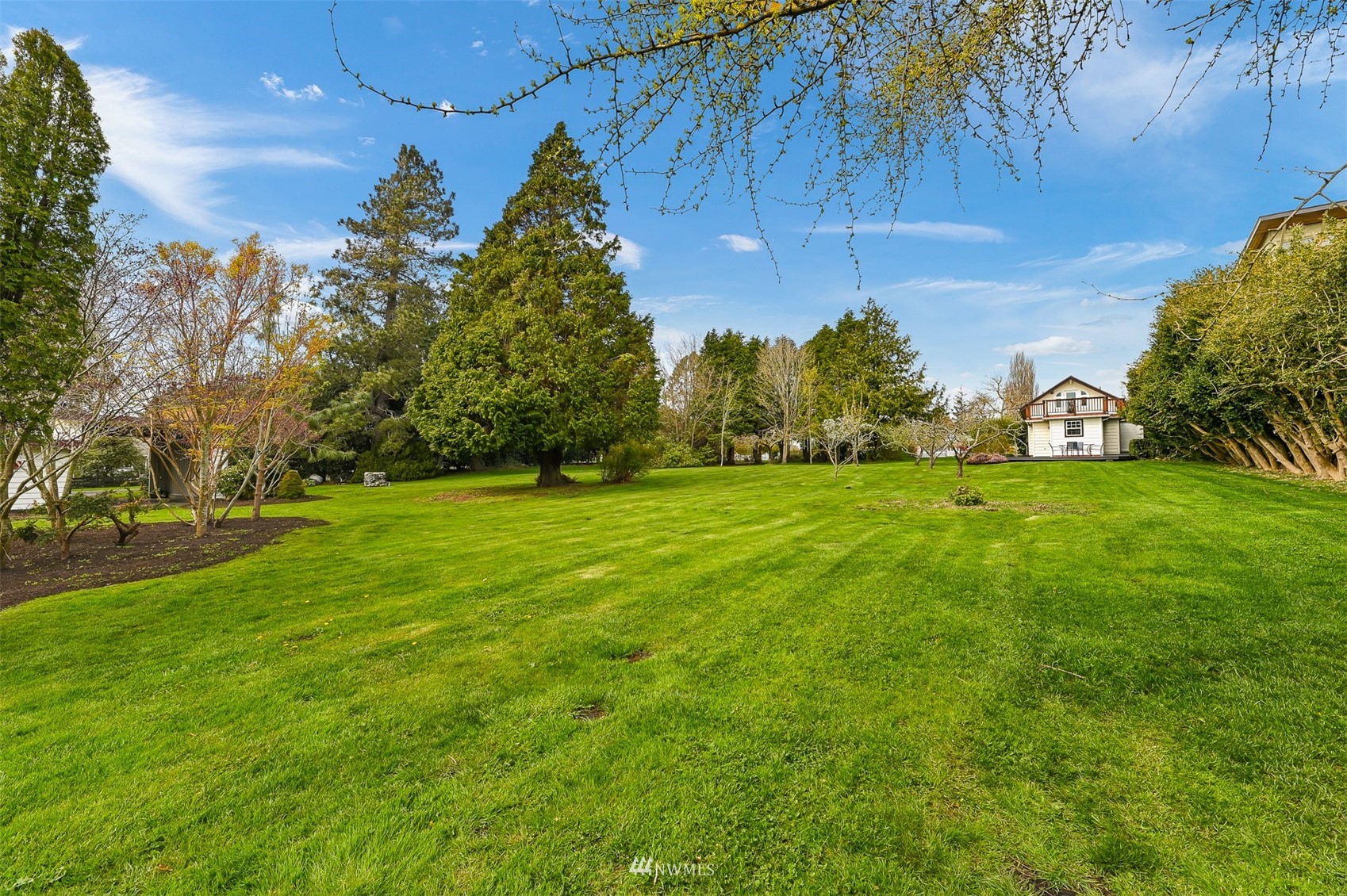 3796 Bancroft Road Bellingham, WA 98225 - Photo 29 of 38 a backyard of a house with lots of green space