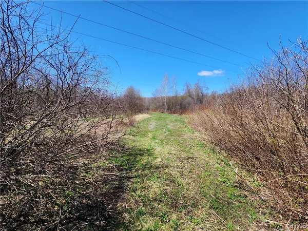 $250,000 | 0 Lehigh Road, Pulaski, NY 13142