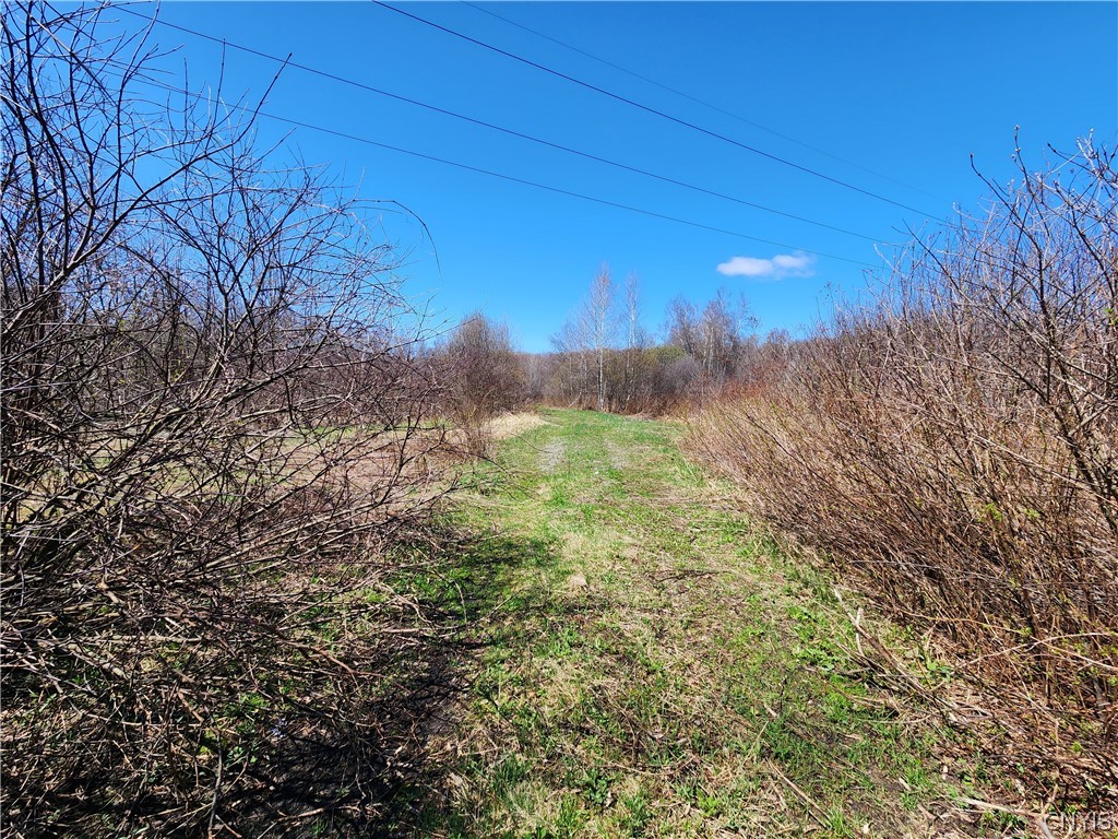 0 Lehigh Road Pulaski, NY 13142 - Photo 2 of 7