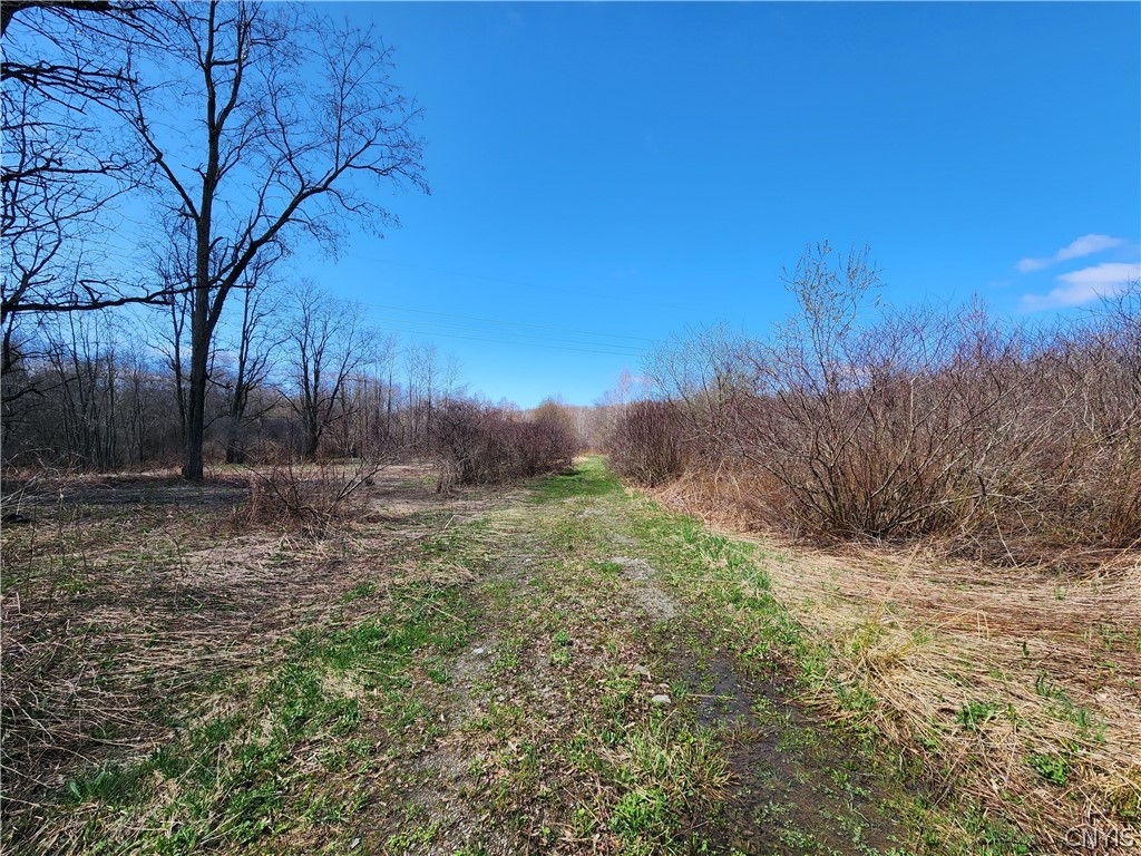 0 Lehigh Road Pulaski, NY 13142 - Photo 3 of 7