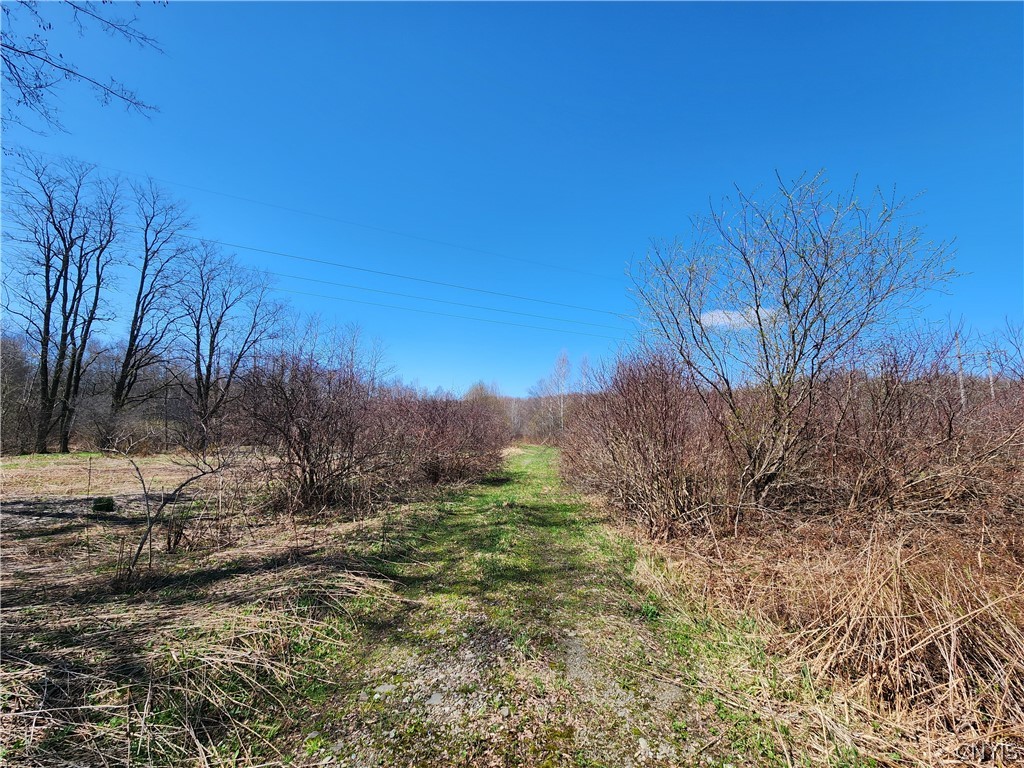 0 Lehigh Road Pulaski, NY 13142 - Photo 4 of 7
