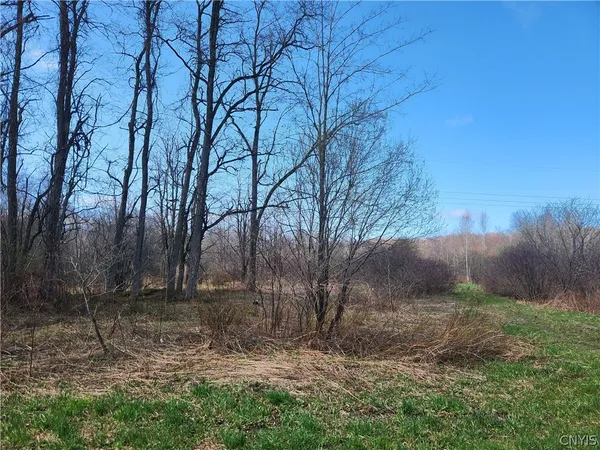 $250,000 | 0 Lehigh Road, Pulaski, NY 13142