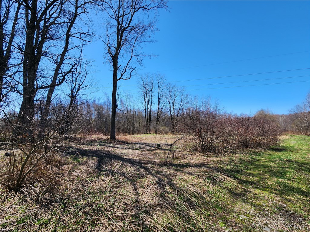 0 Lehigh Road Pulaski, NY 13142 - Photo 7 of 7
