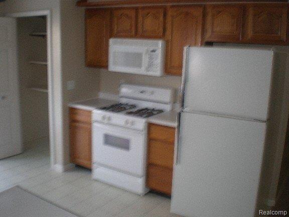 285 Rural Street Port Huron, MI 48060 - Photo 9 of 15 P3020096-mfsopt