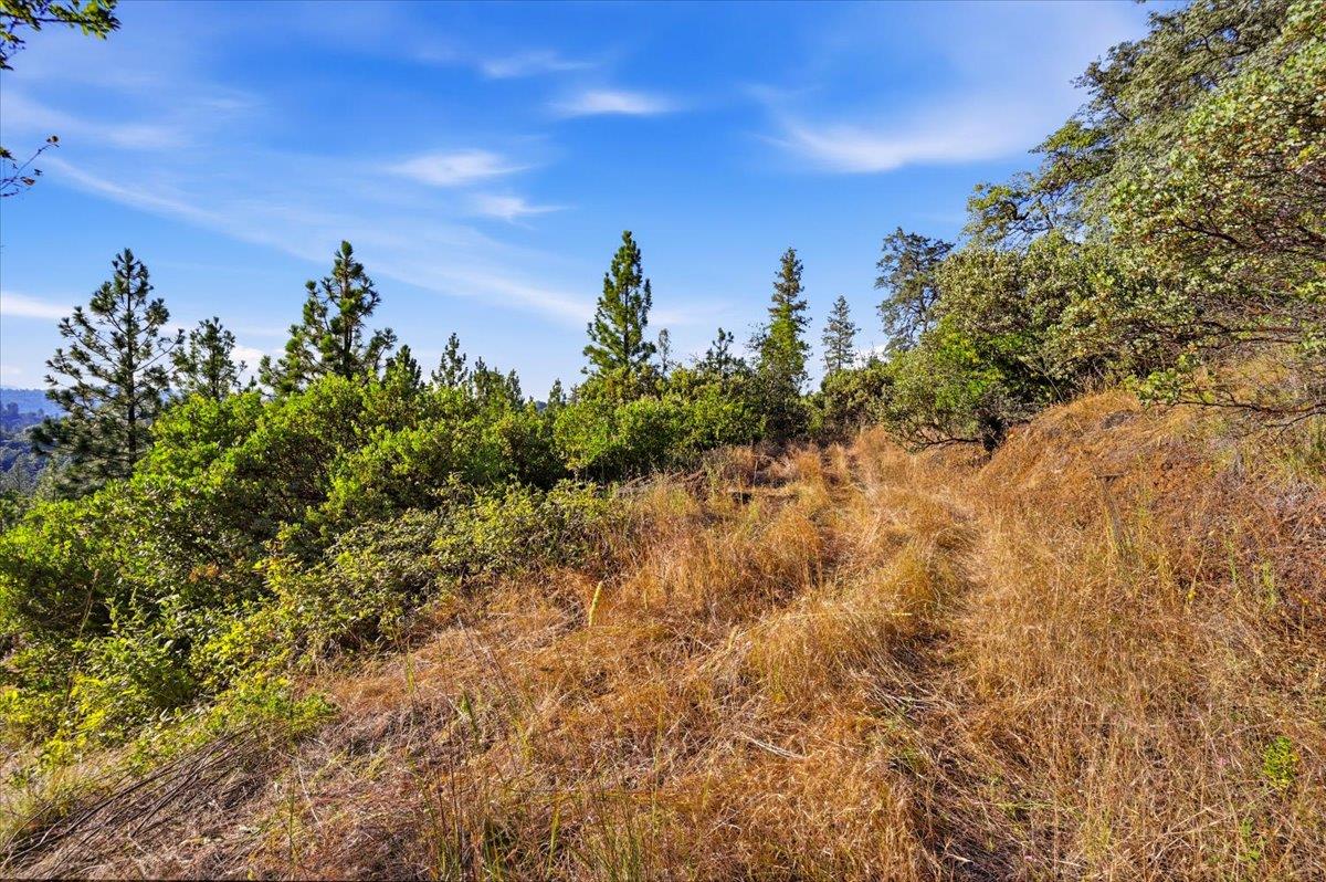 17436 Black Forest Road Penn Valley, CA 95946 - Photo 12 of 36