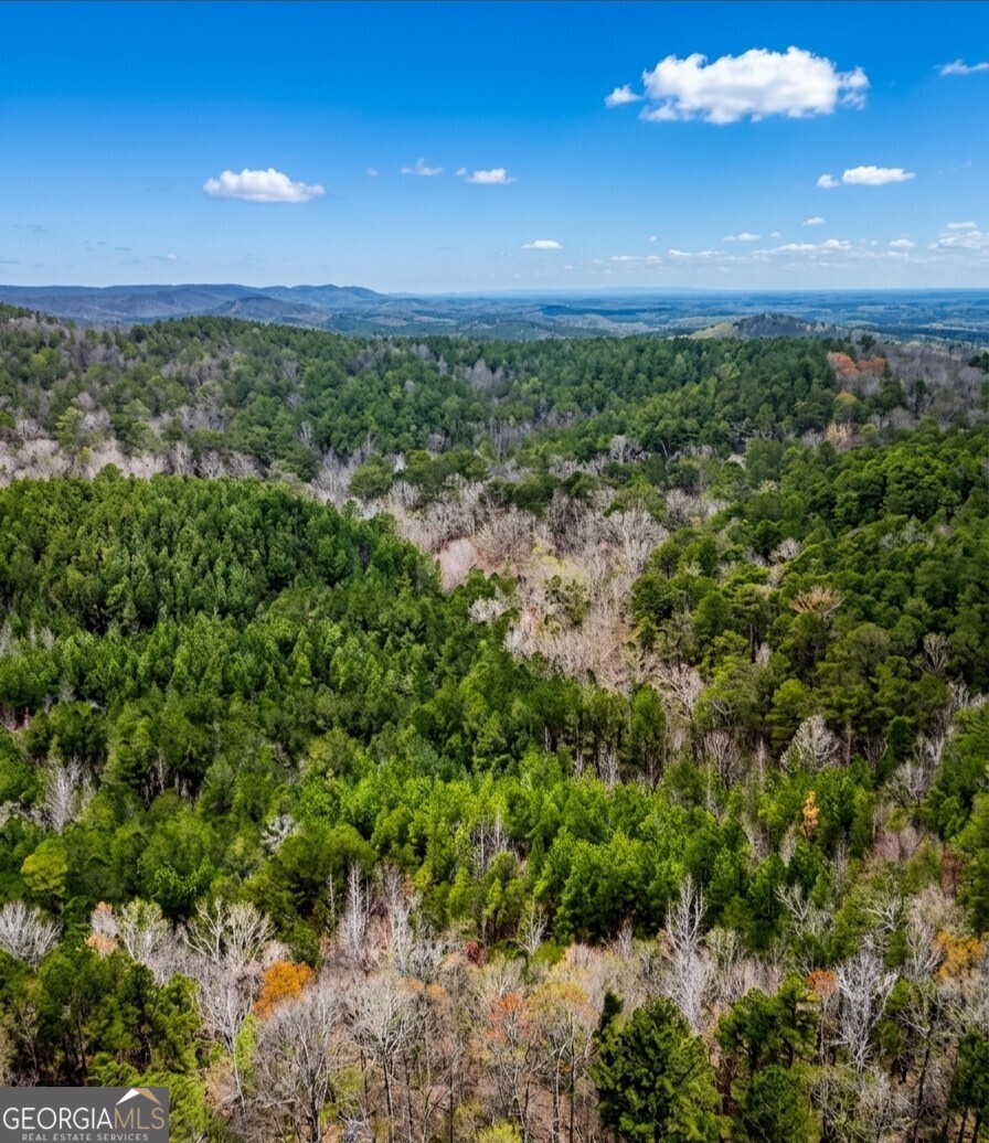 0 Hopeful Road, Unit LOT 2 Munford, AL 36268 - Photo 5 of 12