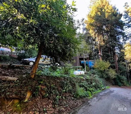 a garden view with a seating space