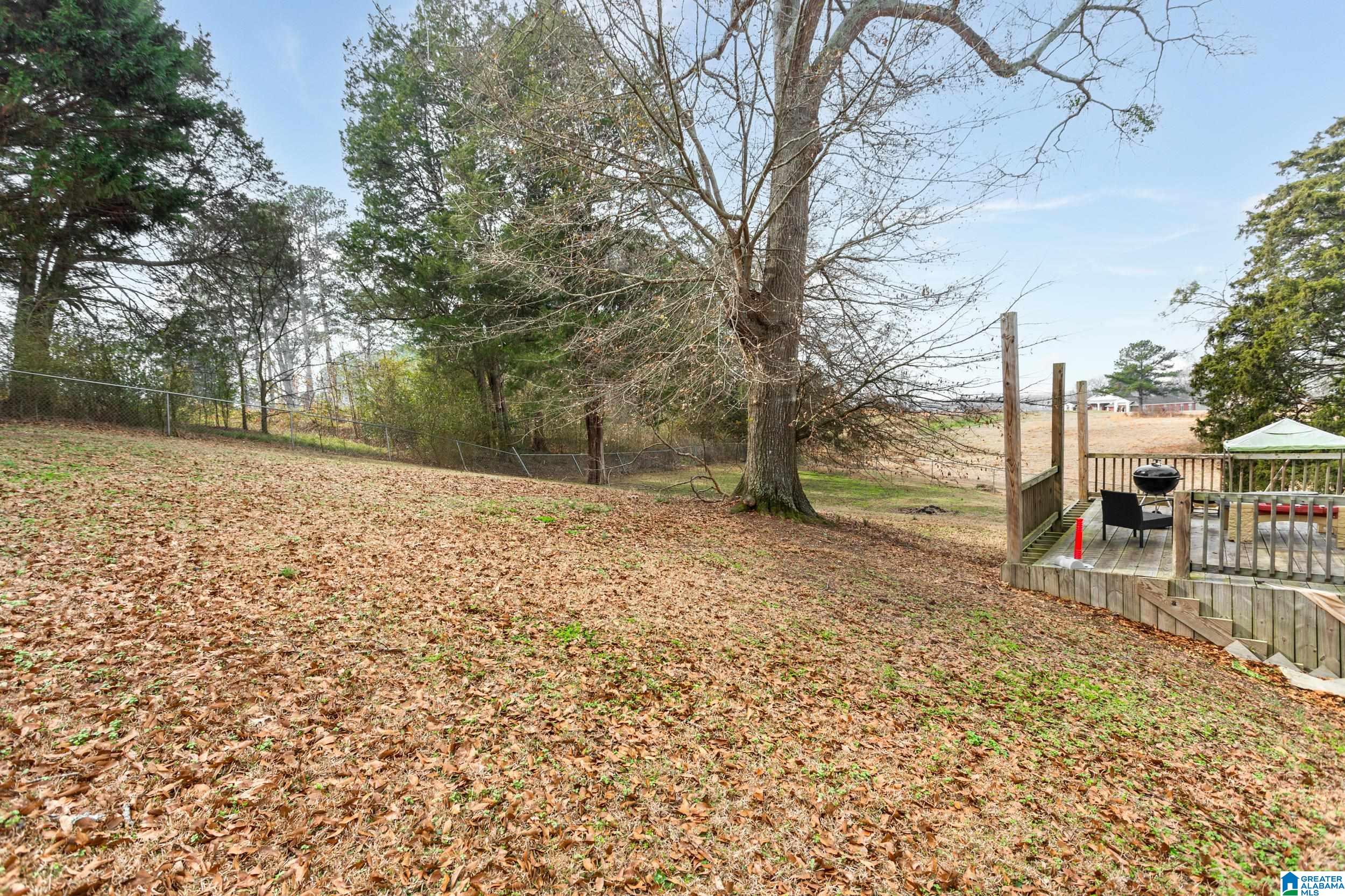 747 Pine Harbor Road Pell City, AL 35128 - Photo 27 of 30 Gallery Image 27