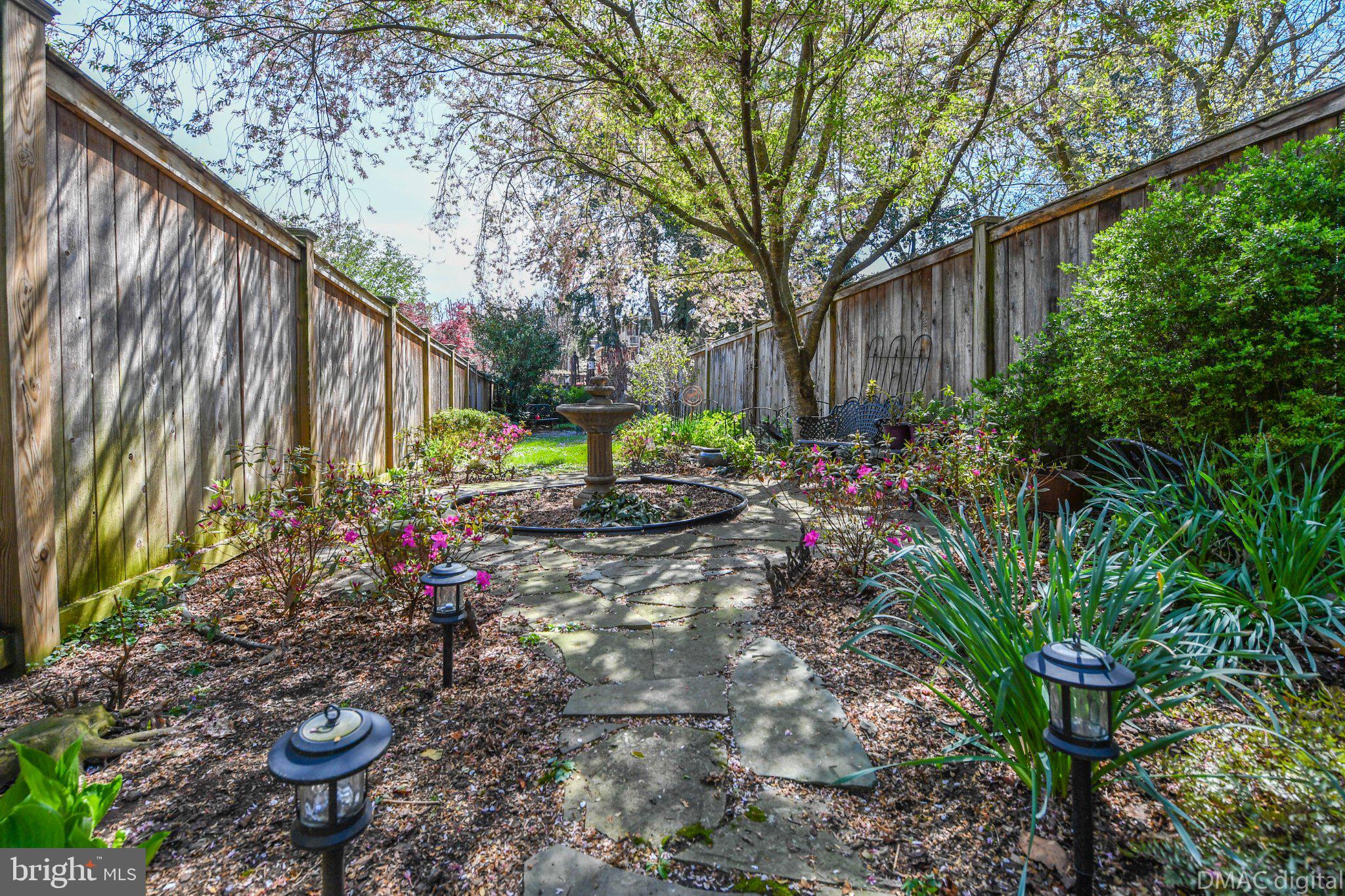 106 West 3rd Street Frederick, MD 21701 - Photo 38 of 46 a view of a backyard with potted plants and large trees