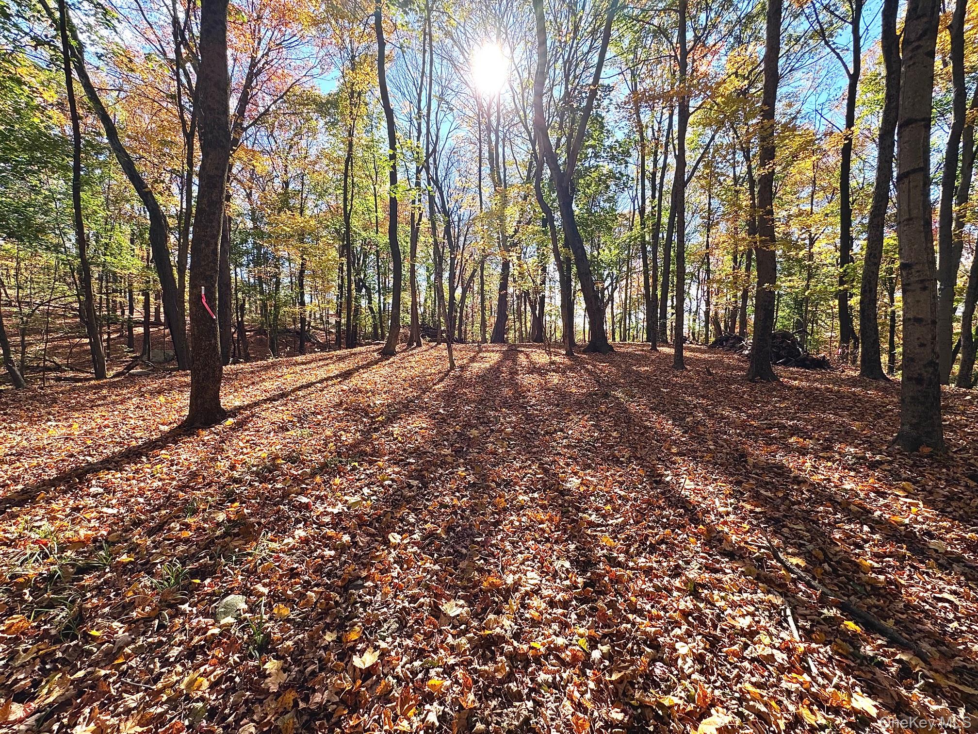 94-3 Somerstown Road Ossining, NY 10562 - Photo 4 of 6 a backyard of a house with lots of green space