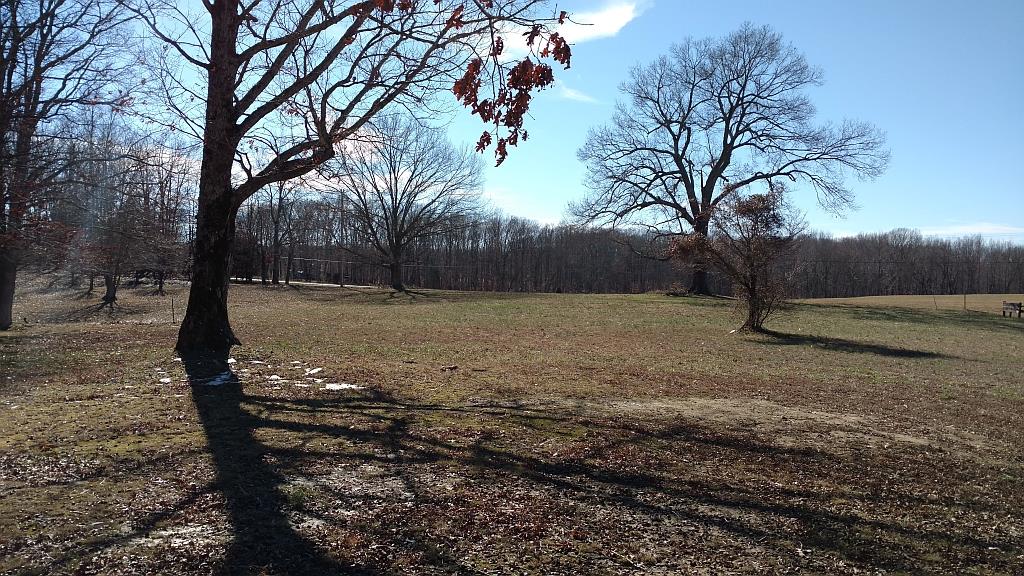 4859 Marion Road Cunningham, TN 37052 - Photo 8 of 10 a view of a backyard with large trees