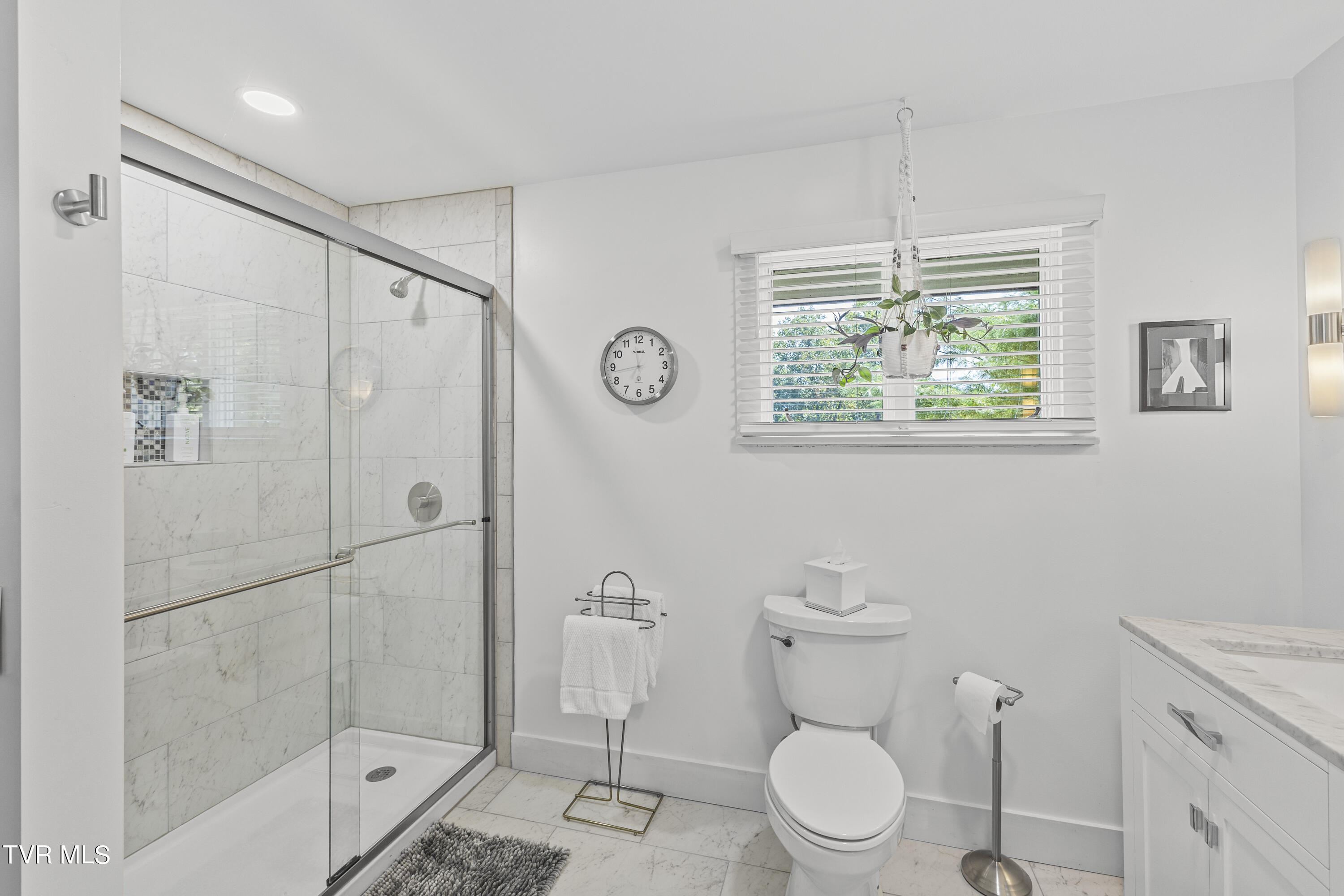 3 Beechwood Circle Johnson City, TN 37604 - Photo 26 of 66 Spacious step-in shower