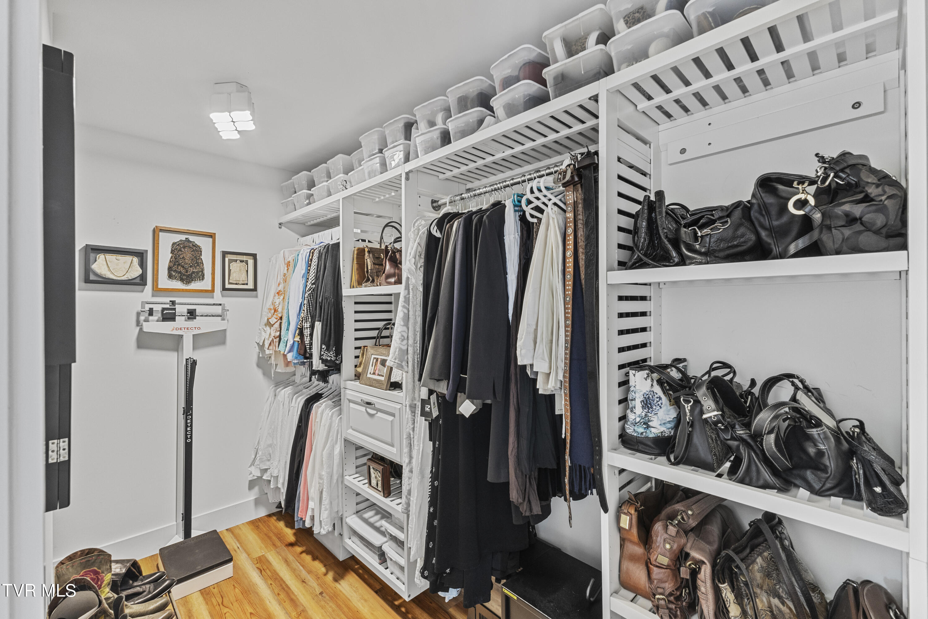 3 Beechwood Circle Johnson City, TN 37604 - Photo 27 of 66 Customized walk-in closet