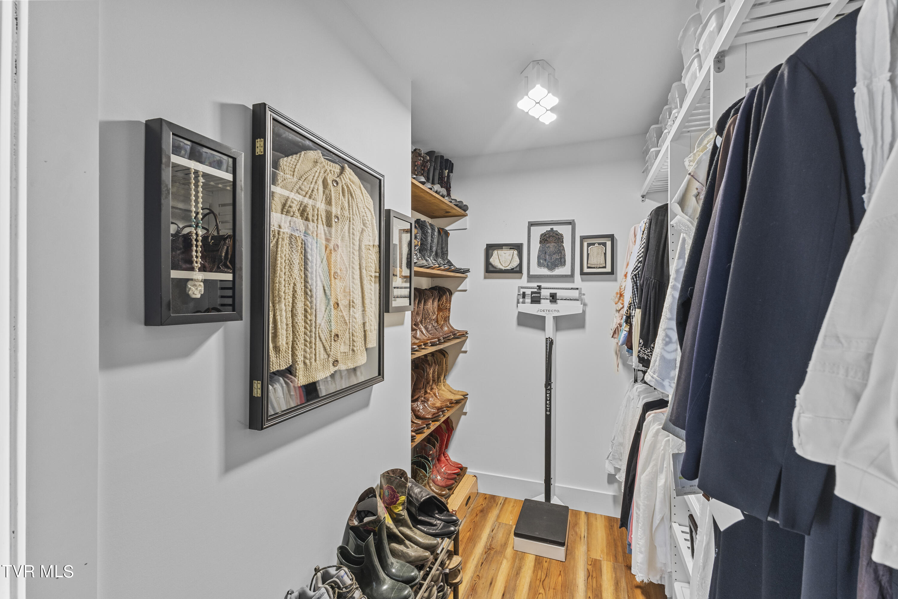 3 Beechwood Circle Johnson City, TN 37604 - Photo 29 of 66 Primary walk-in closet