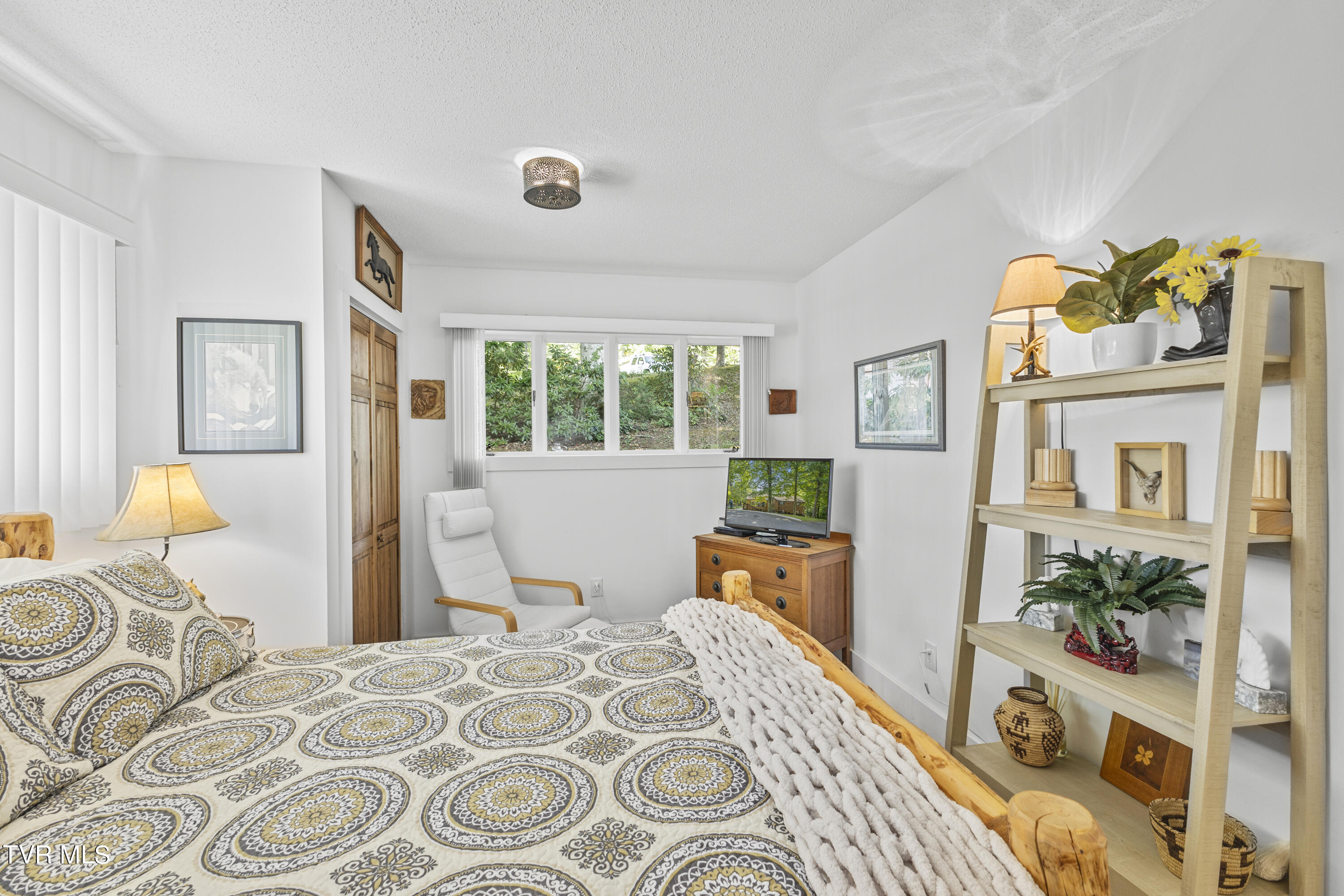 3 Beechwood Circle Johnson City, TN 37604 - Photo 44 of 66 Bedroom 4 in lower level