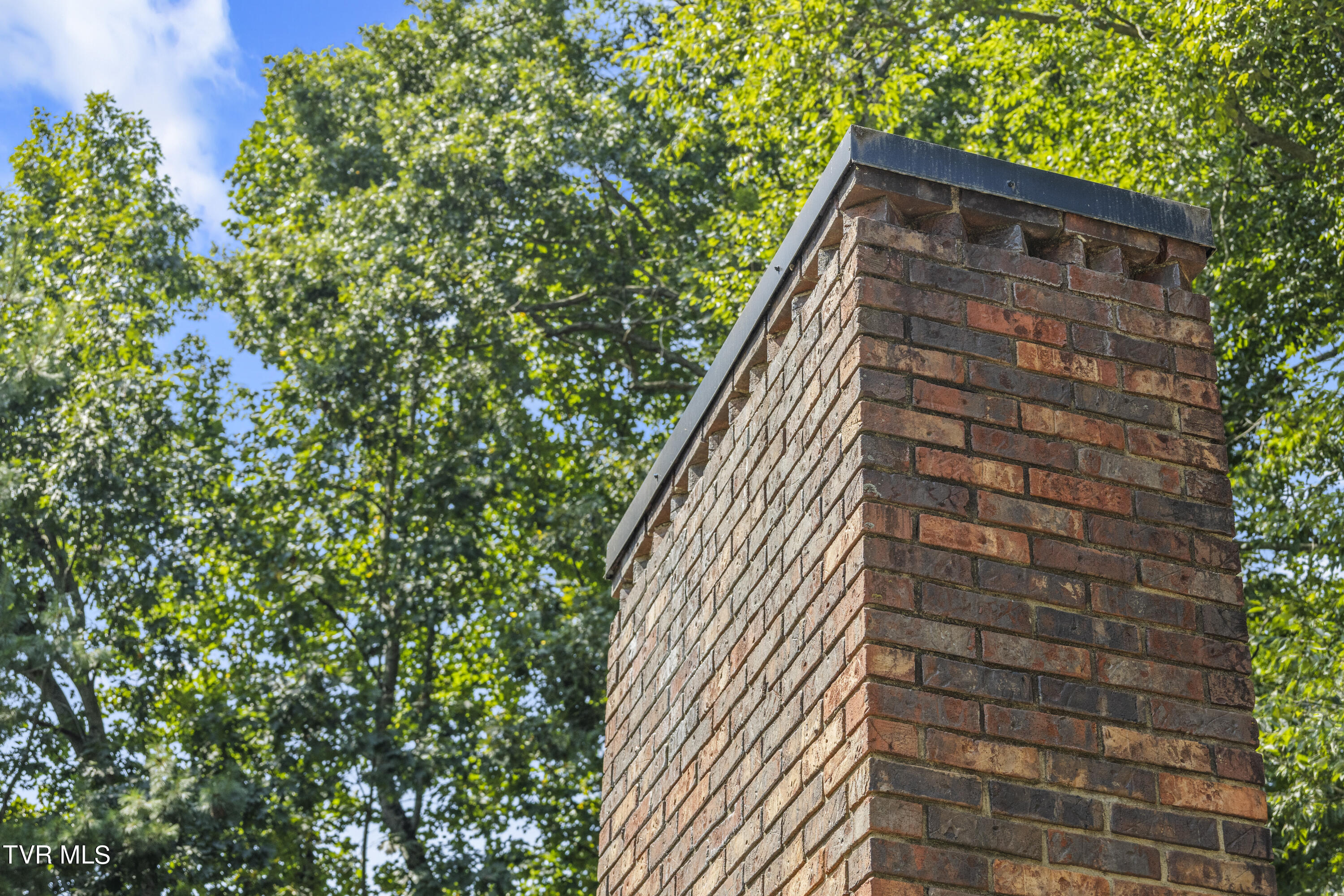 3 Beechwood Circle Johnson City, TN 37604 - Photo 62 of 66 128A1887