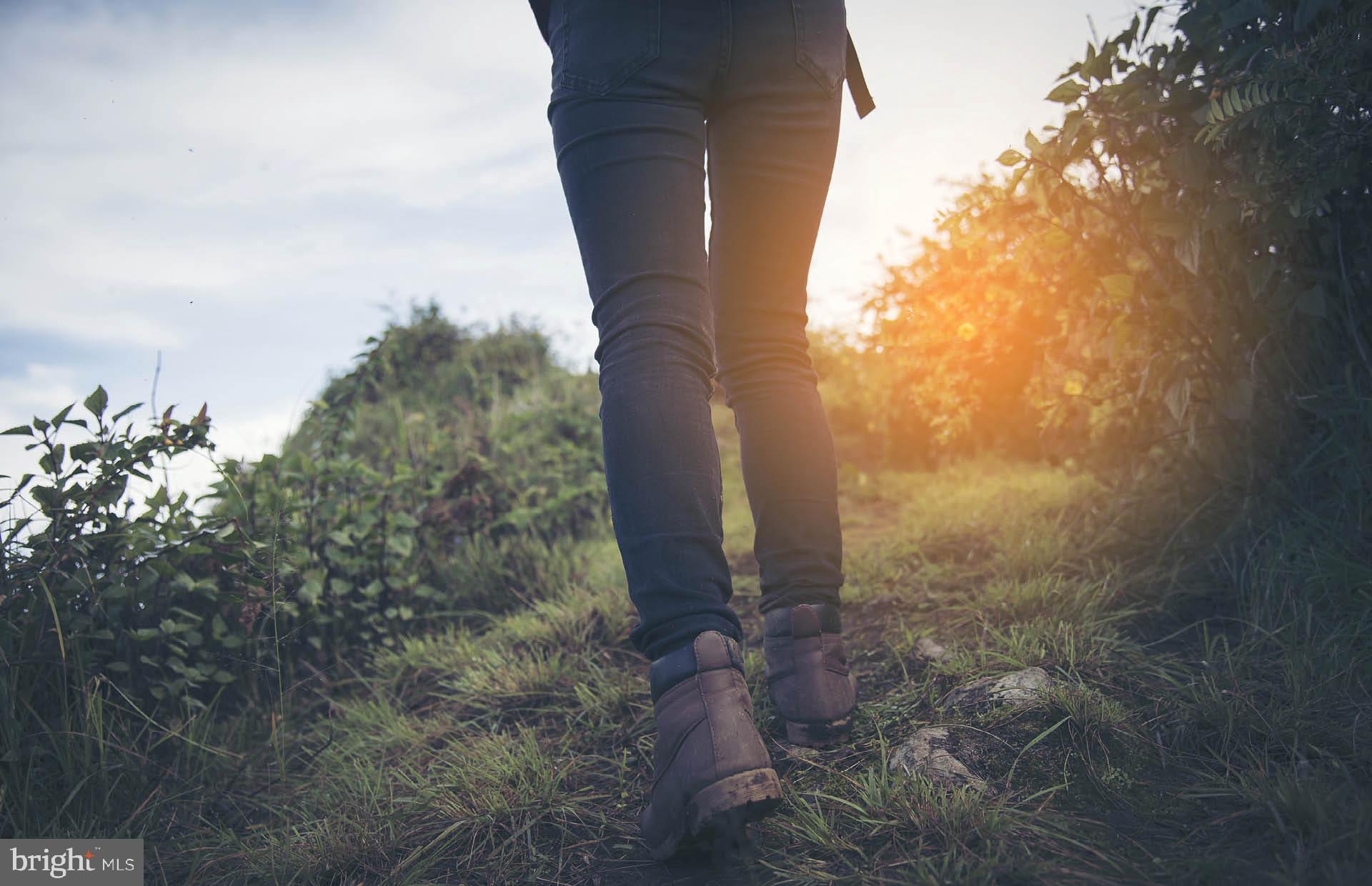 1306 Bracken Lane Laurel, MD 20724 - Photo 40 of 44 a view of a yard