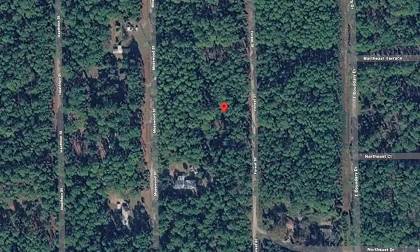 $7,500 | 141 East Boundary Drive, Georgetown, FL 32139