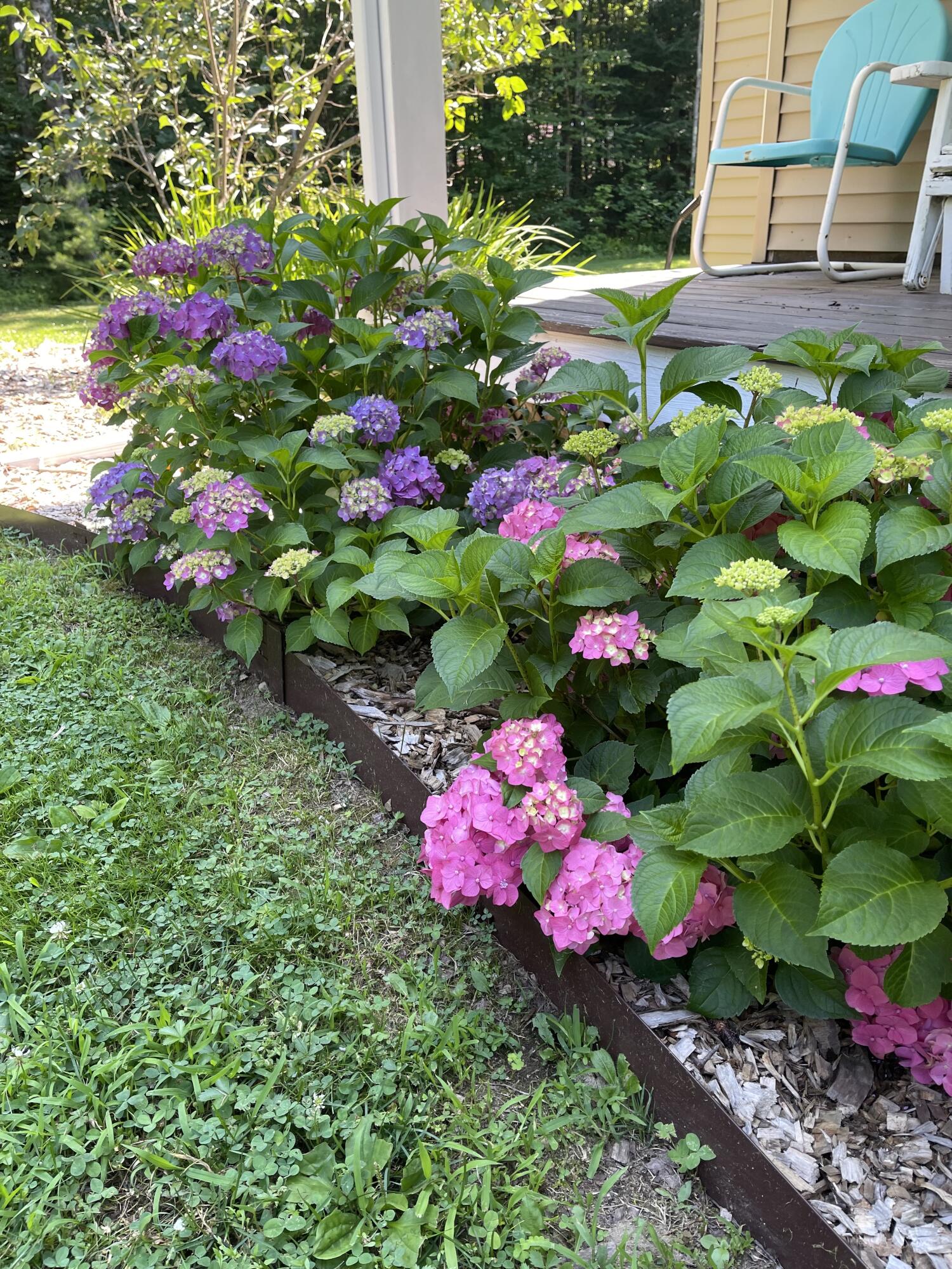 31 Harley Lane Bowdoin, ME 04287 - Photo 44 of 50 Front Porch landscaping