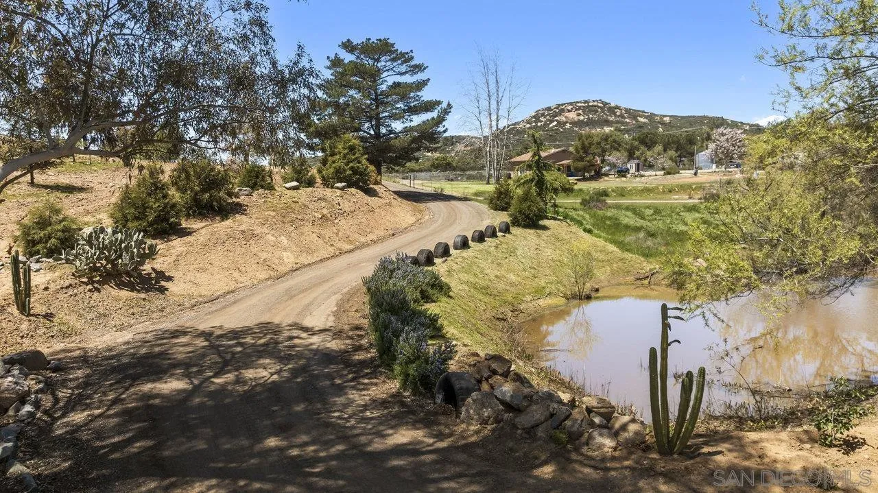 23471 Japatul Valley Road Alpine, CA 91901 - Photo 44 of 57 a view of a yard with a tree