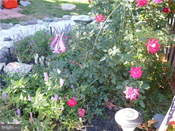 11 Vulcan Road Levittown, PA 19057 - Photo 21 of 25 Garden