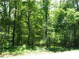 7175 Kingston Road Fairview, TN 37062 - Photo 1 of 6 a view of a yard