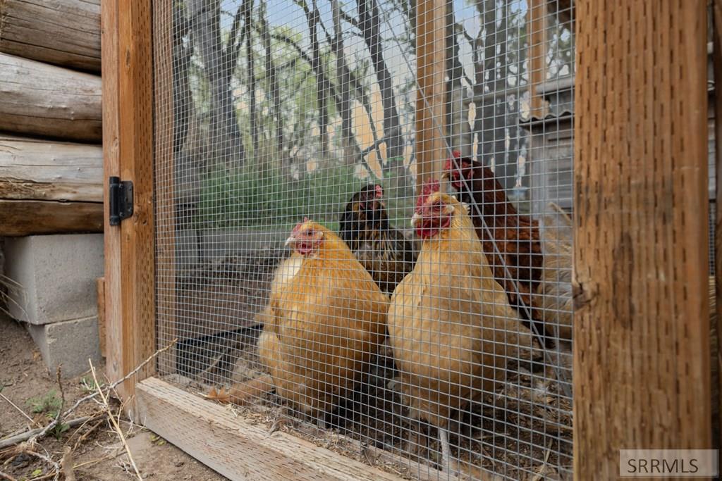 3865 East 390 North Rigby, ID 83442 - Photo 55 of 67