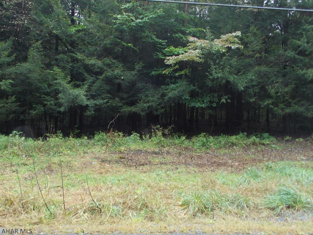 0 Market Street Fallentimber, PA 16639 - Photo 1 of 1