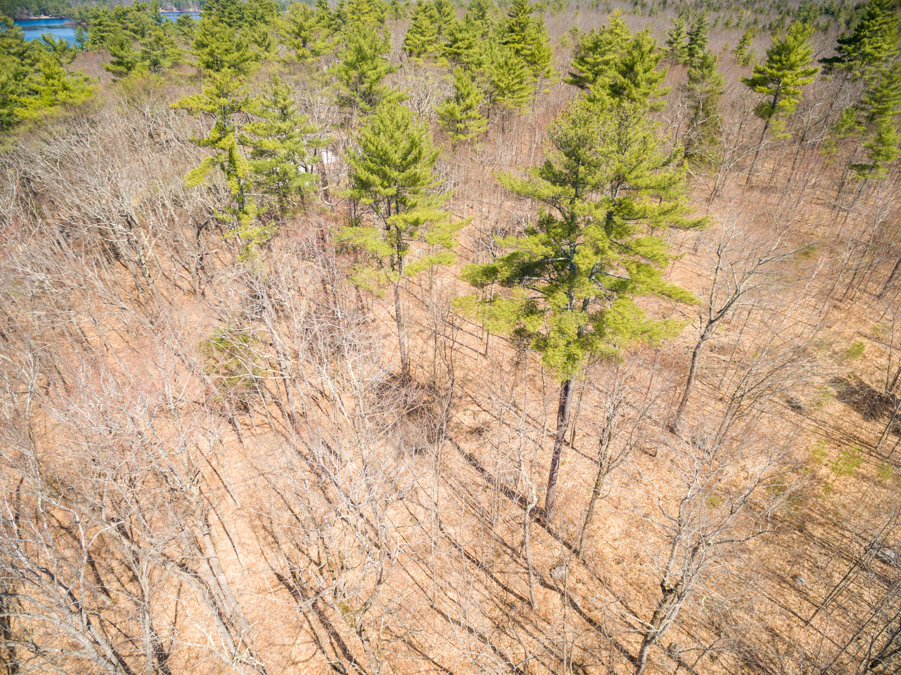 0 Crescent Shore Road Raymond, ME 04071 - Photo 9 of 15 DJI_0019