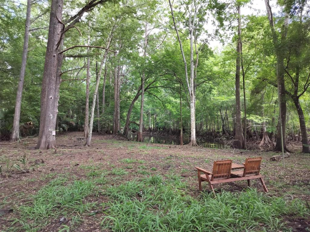 a view of a bench in a backyard